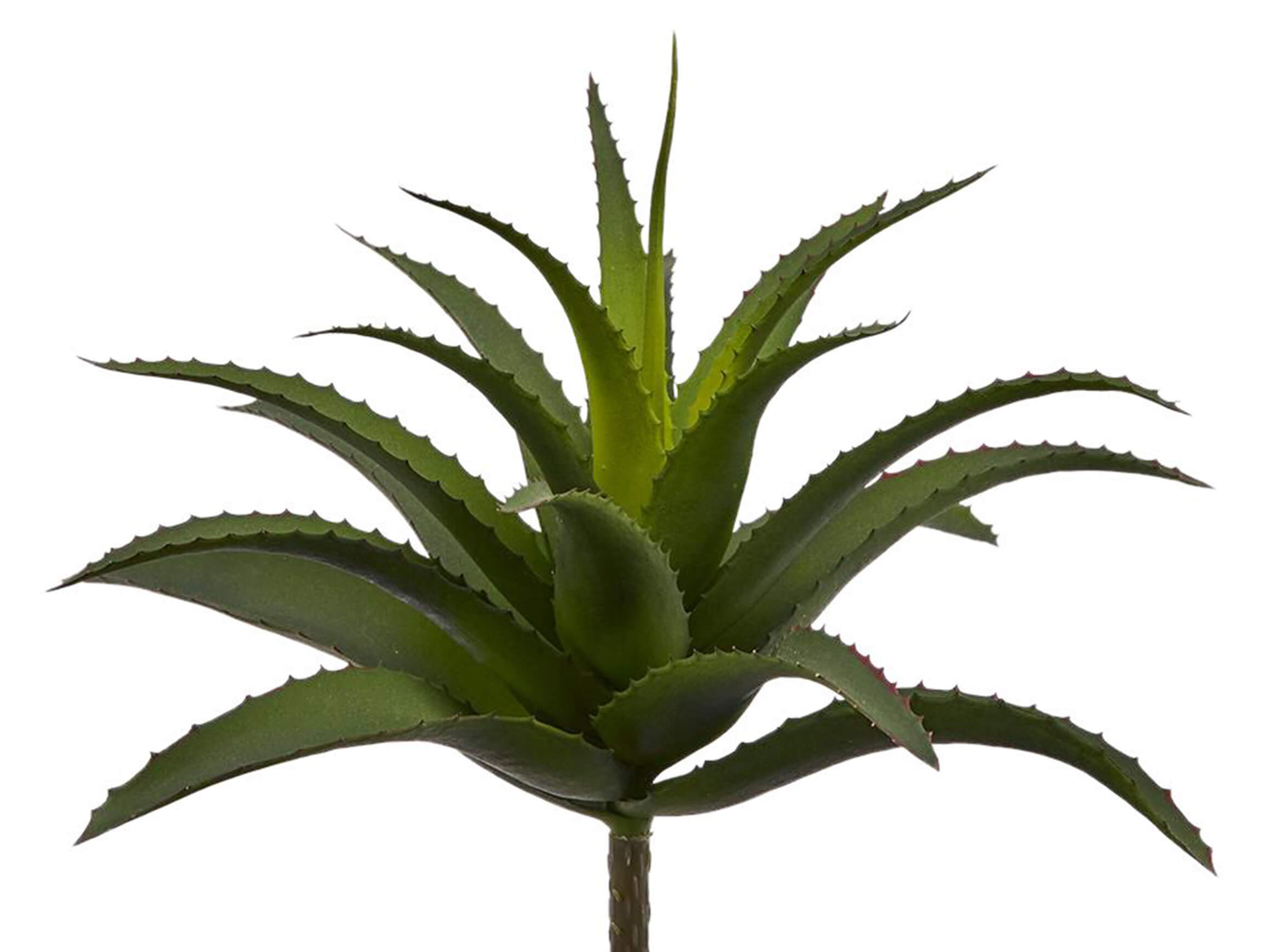 Edg Kunstblume Agave Dunkelgrün H: 25 cm  | Schubiger Möbel