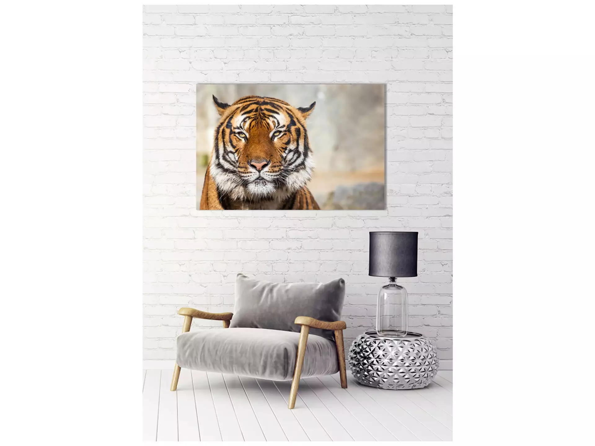 Digitaldruck auf Acrylglas Tiger image LAND / Grösse: 150 x 100 cm