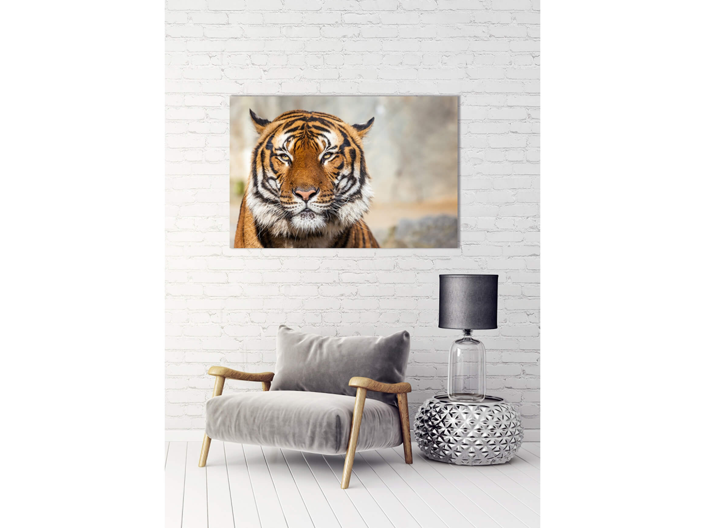 Digitaldruck auf Acrylglas Tiger image LAND / Grösse: 150 x 100 cm