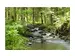 Digitaldruck auf Acrylglas Flusslauf im Wald 1 image LAND / Grösse: 150 x 100 cm