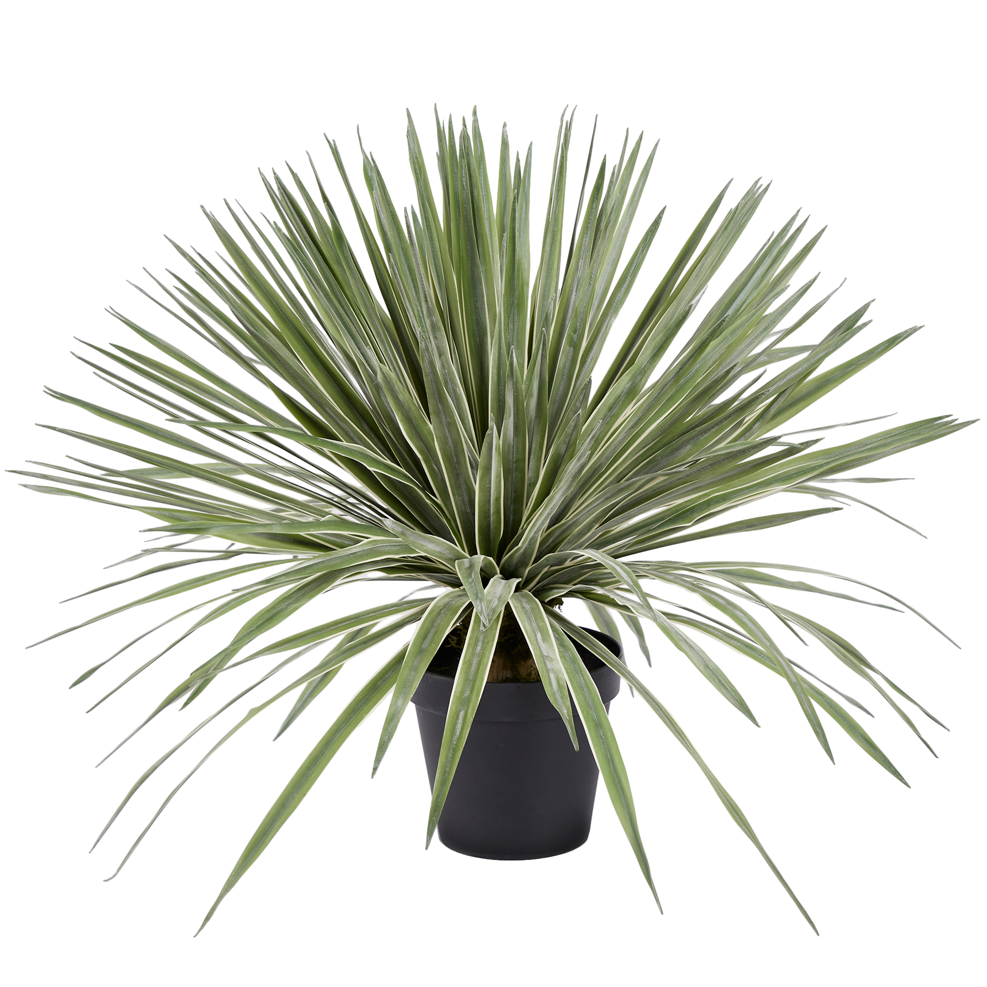 Edg Kunstpflanze Agave im Topf H: 80 cm  | Schubiger Möbel