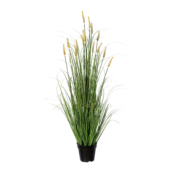 Gasper Kunstpflanzen Pennisetum im Topf H: 120 cm  | Schubiger Möbel