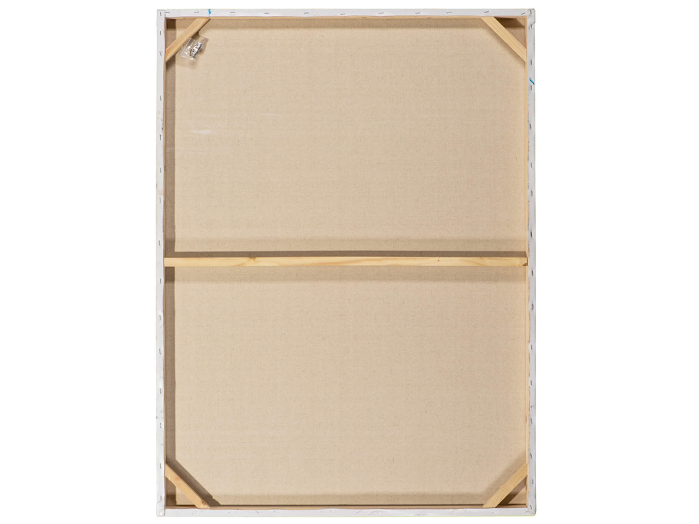 Bild Elefant 90x120 cm image LAND