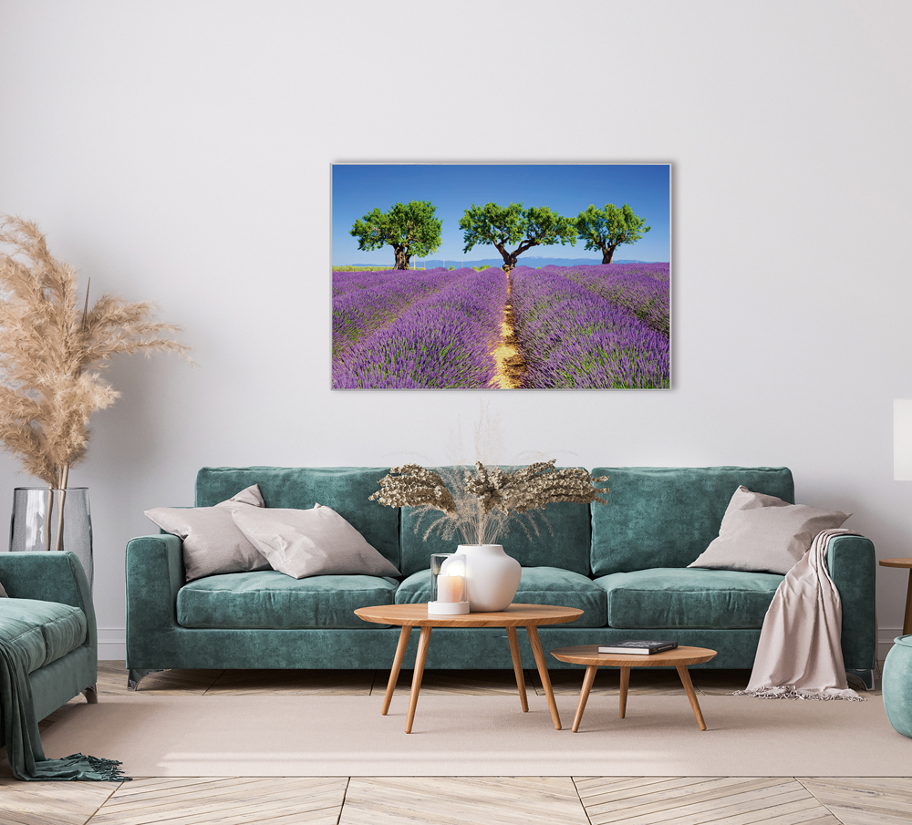 Bild mit Rahmen-Lavendelfeld 6-image LAND