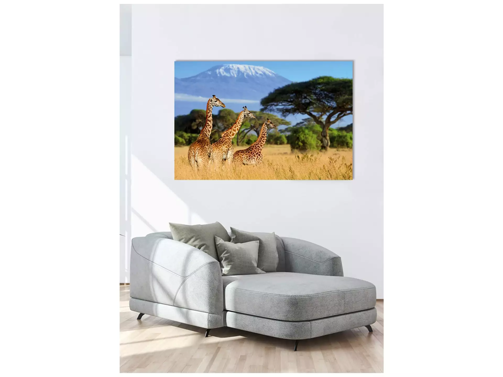 Digitaldruck auf Acrylglas Giraffen in Der Savanne image LAND / Grösse: 120 x 80 cm