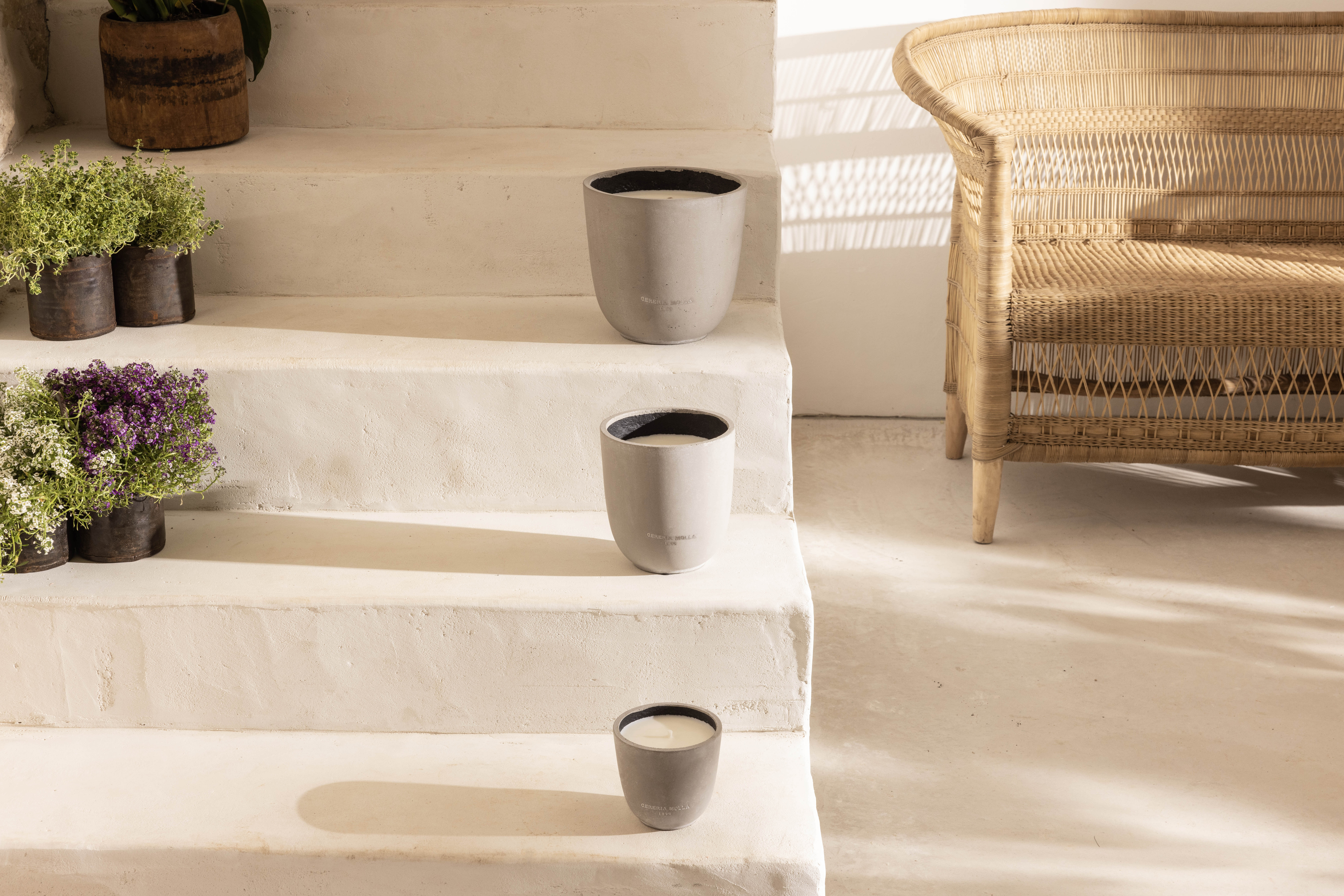 Duftkerzen Outdoorkerzen Citronella & Mint 3kg Cereria Molla 1899 S.L.