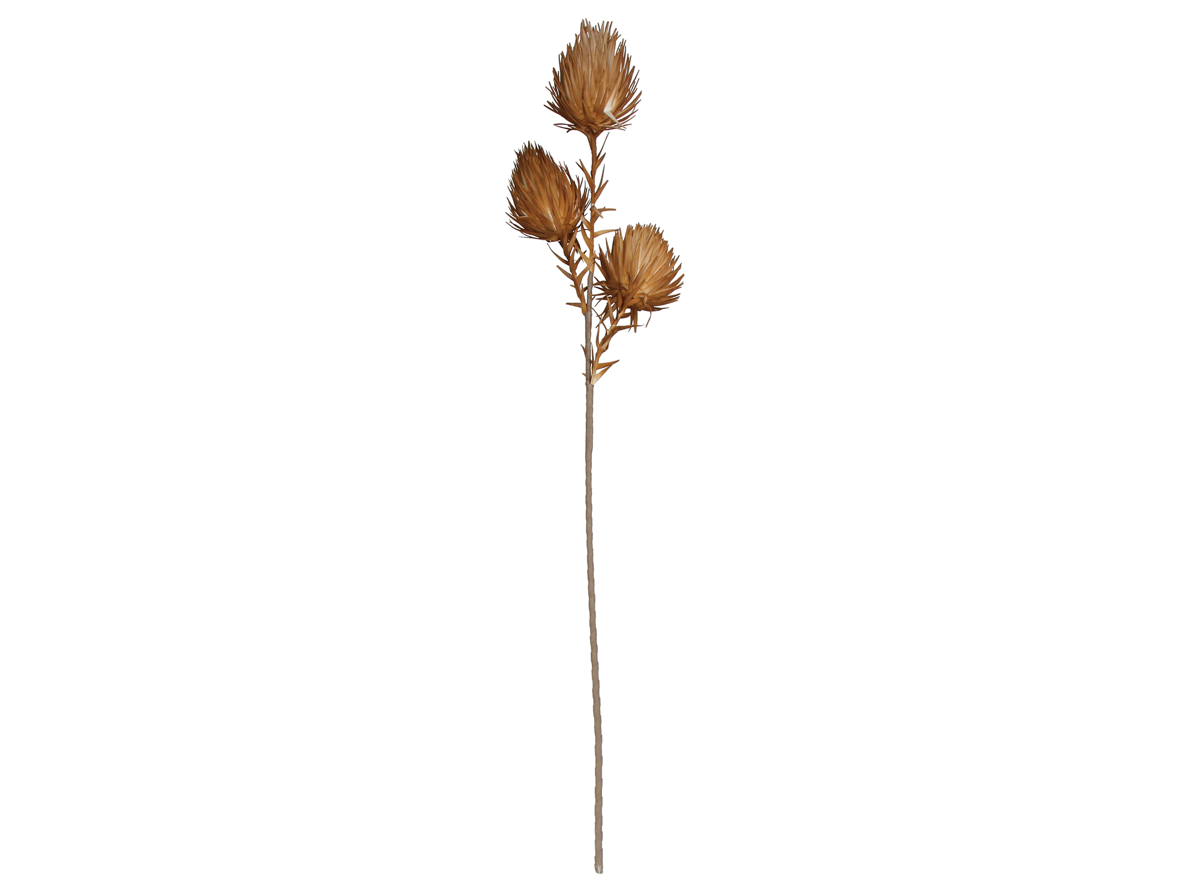 Kersten Kunstblumen 3 Knospen Apricot H: 100 cm  | Schubiger Möbel