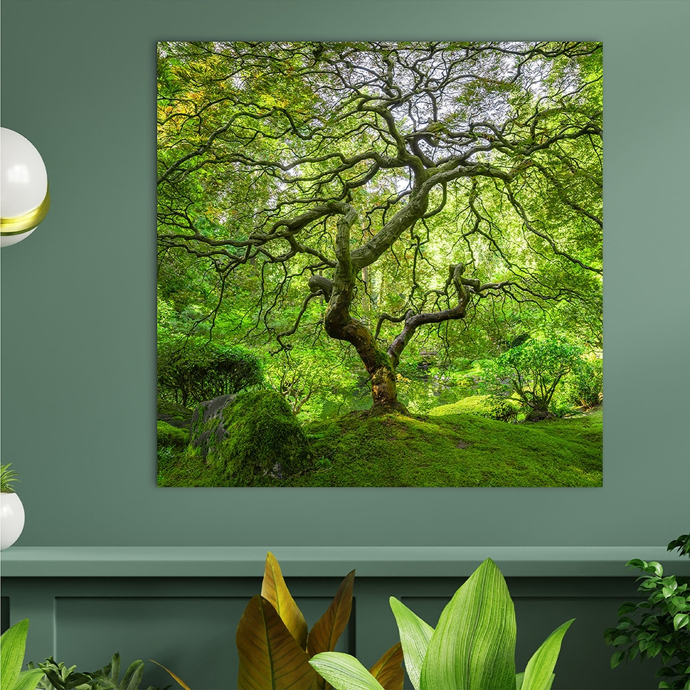 Canvas-Bauminsel-image LAND