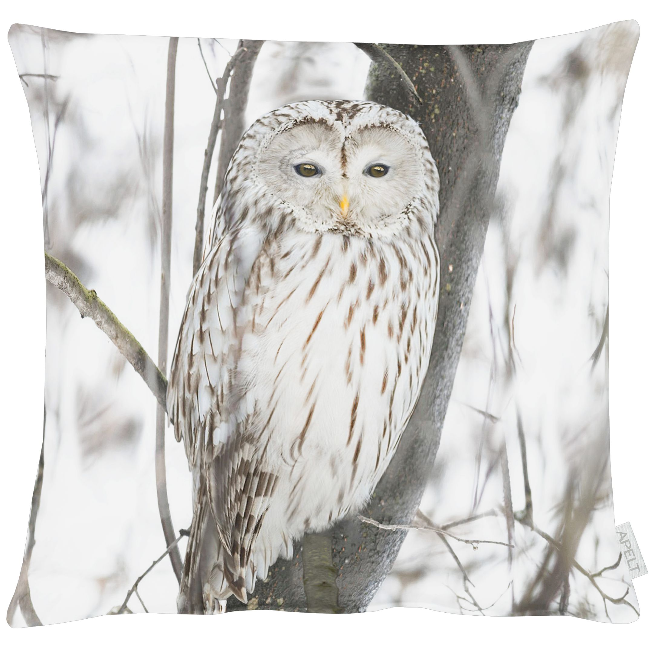Apelt Kissenhülle Schneeeule 45x45 cm  | Schubiger Möbel