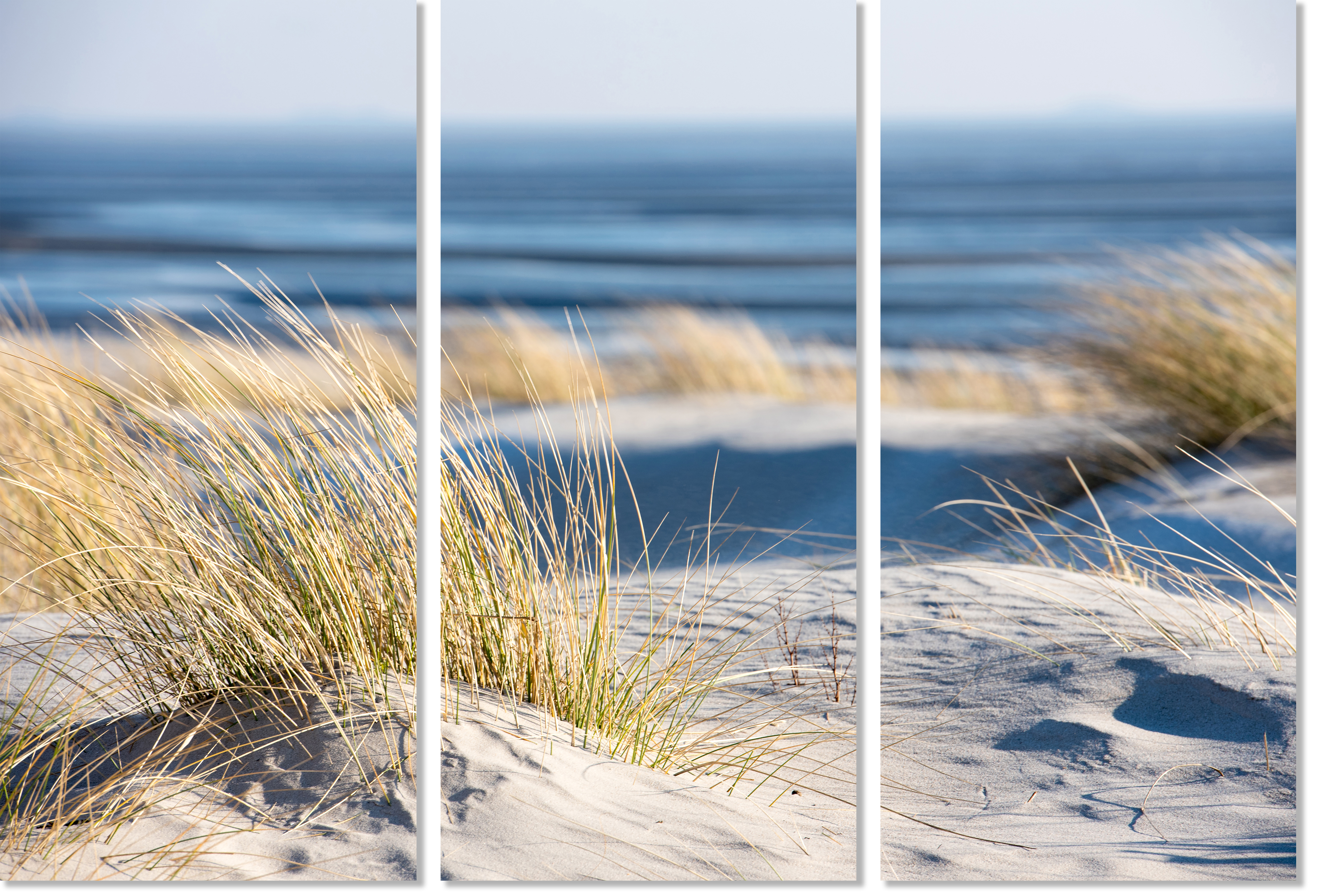 'Time Out on The Beach' canvas image LAND