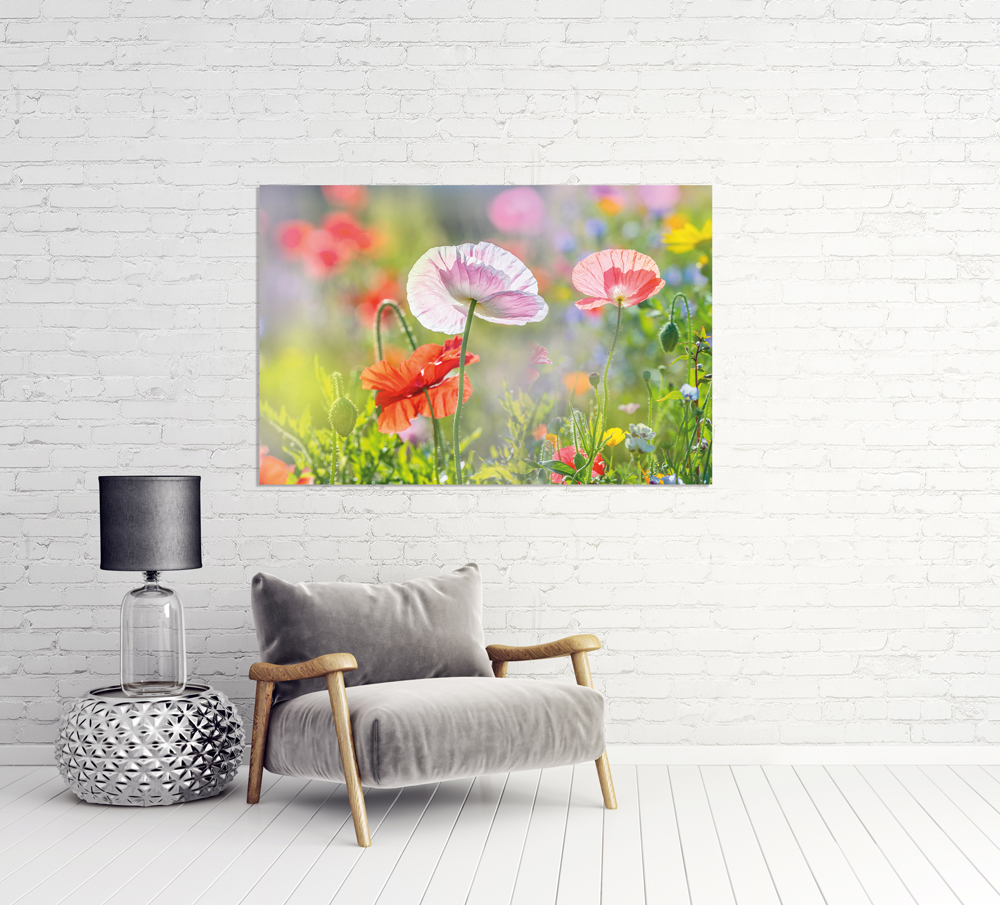 Alubild-Mohnblumen 4-image LAND