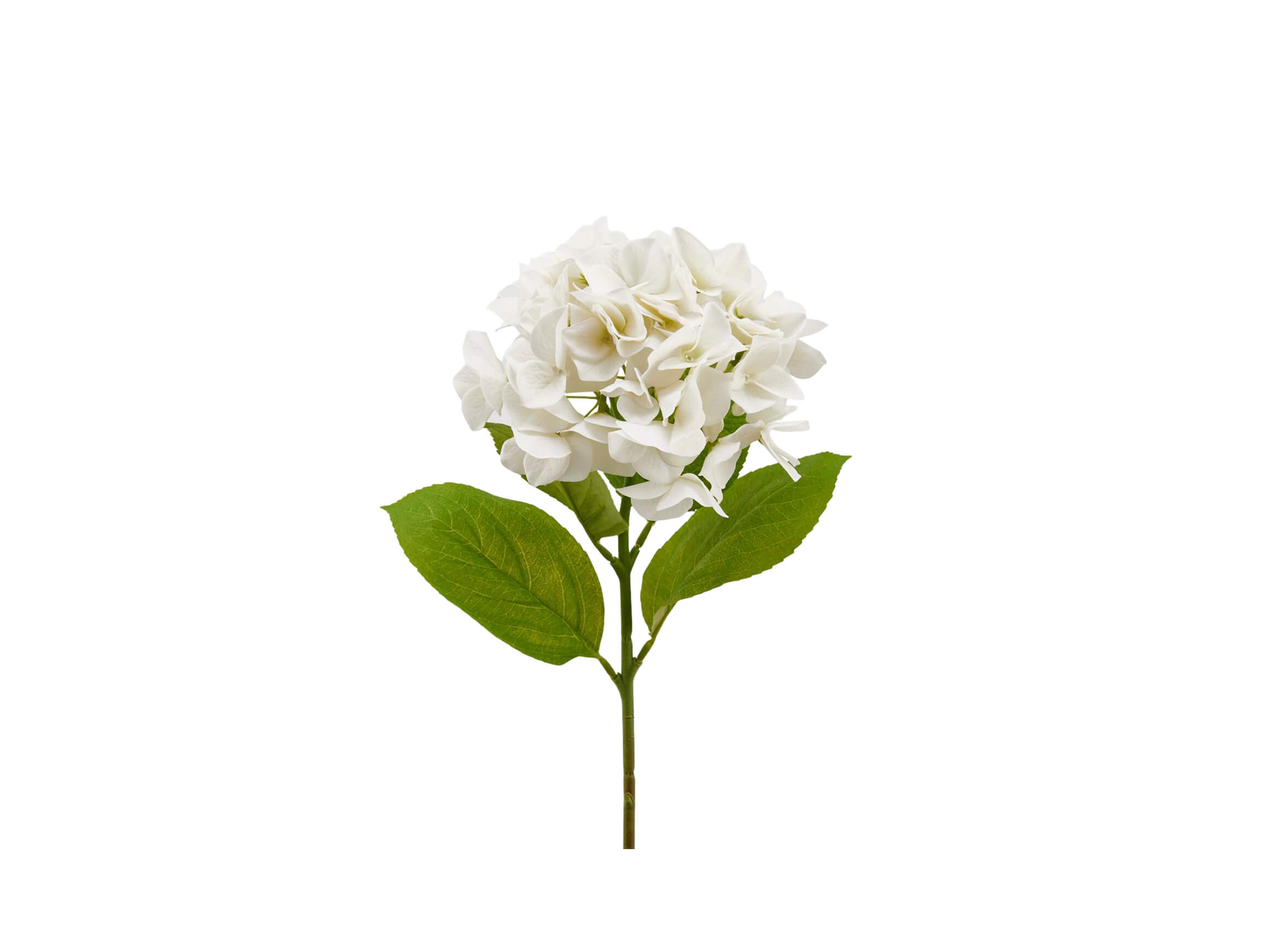 Kunstblumen Hortensie Weiss H: 50 cm Edg