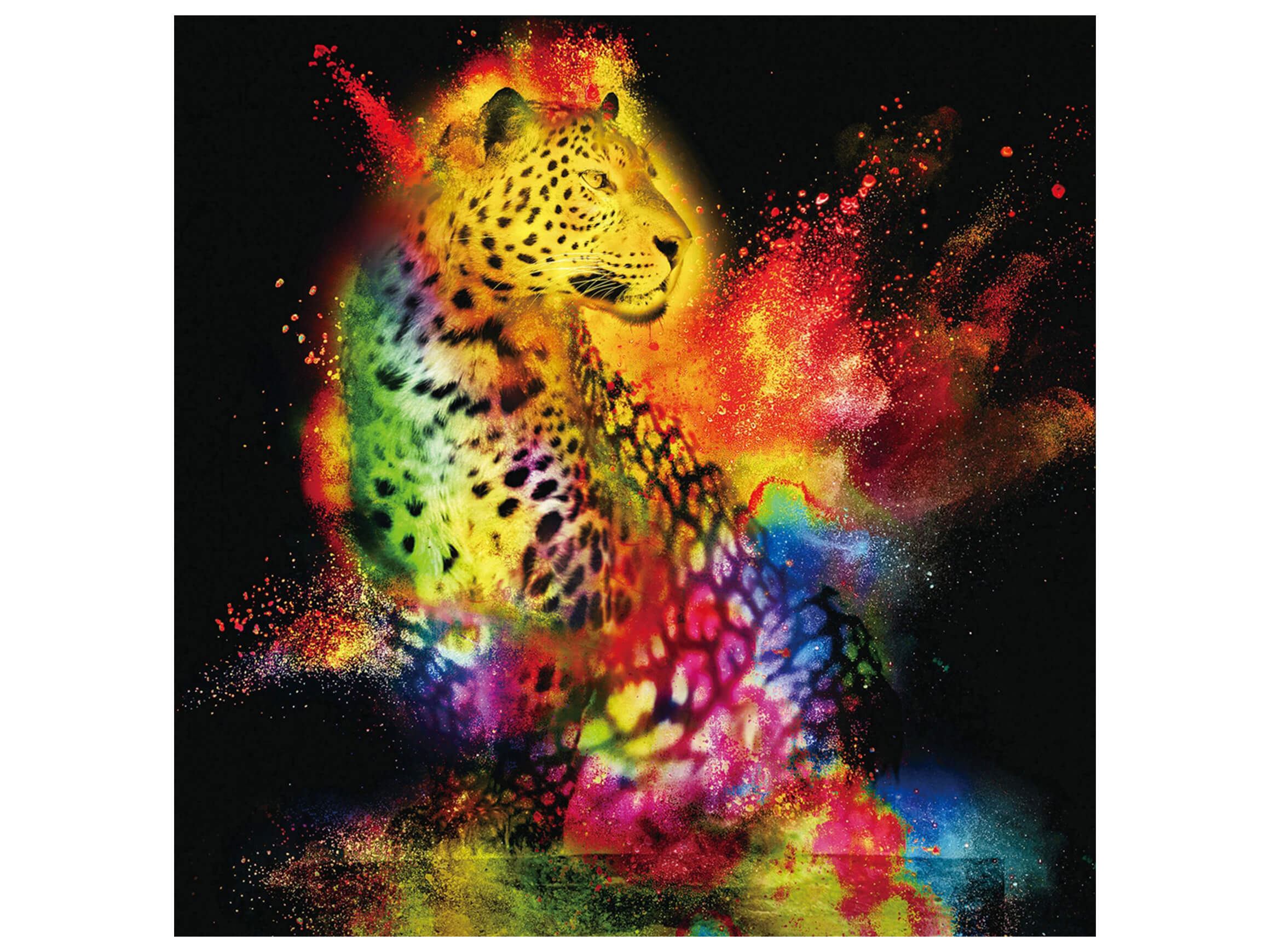 Digitaldruck auf Glas Farbkomposition Leopard image LAND