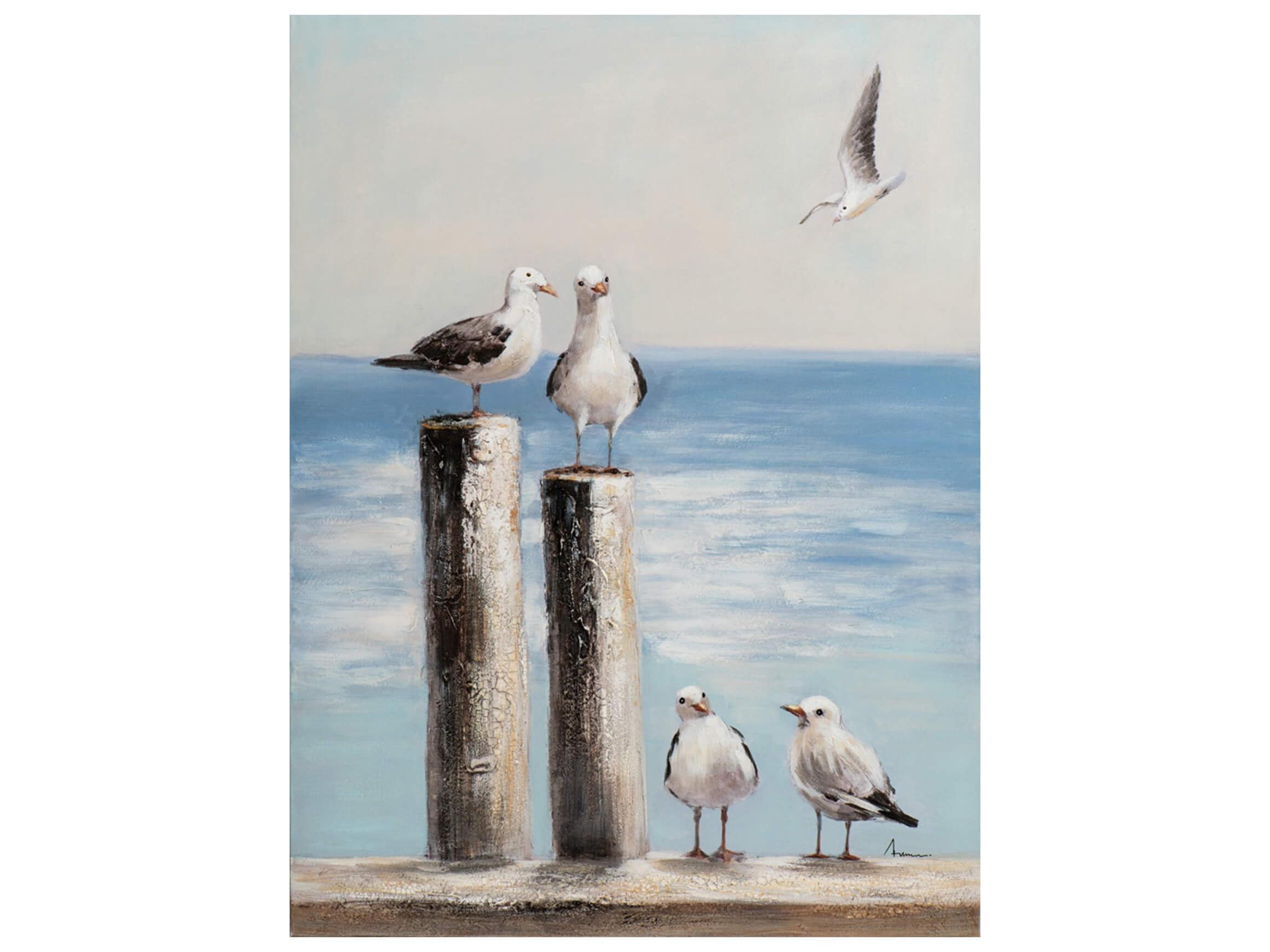 Bild Möwen Auf Holzpfählen 3 image LAND