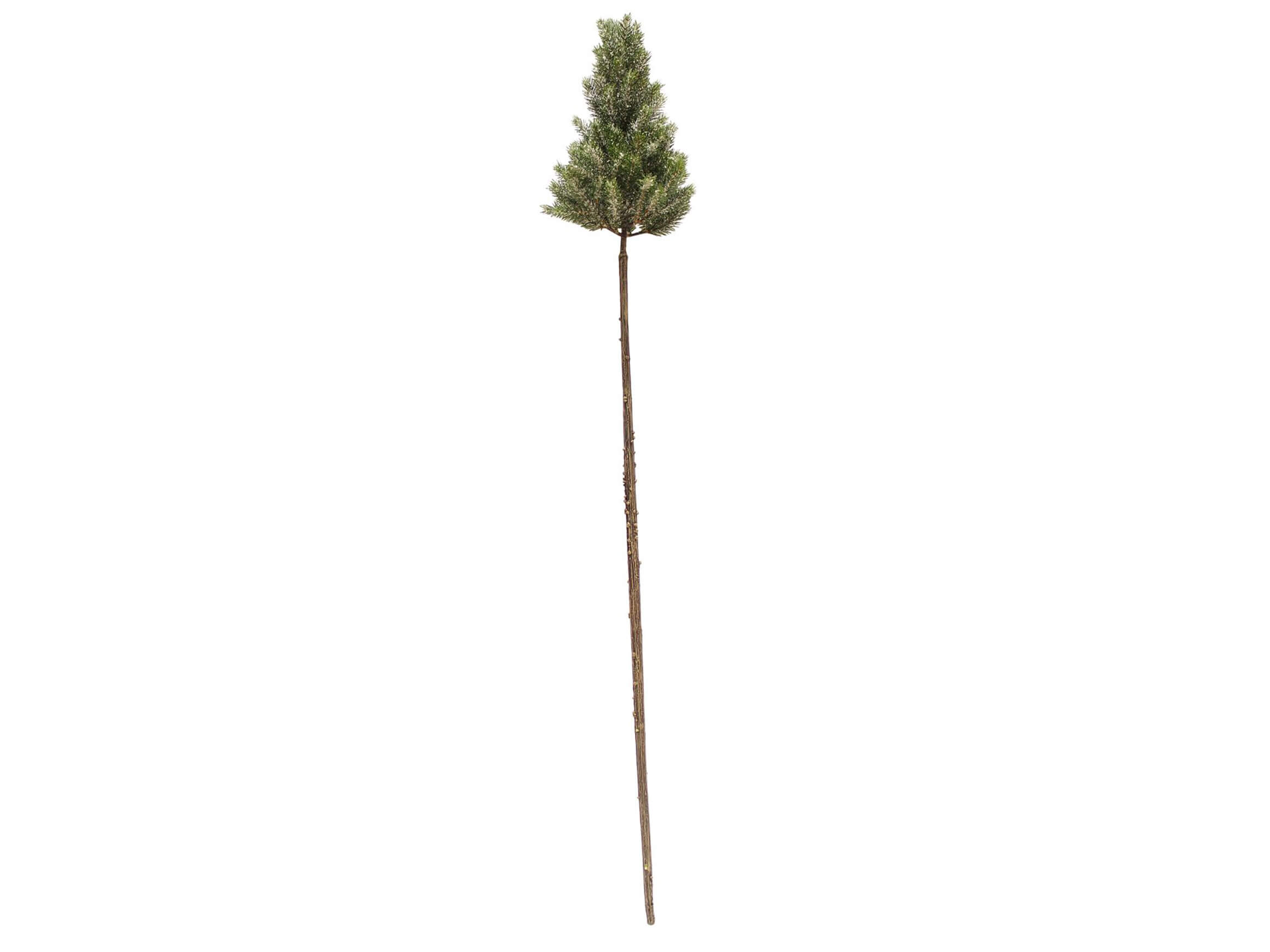 Kaheku Weihnachtsbaum Lancelot Grün-Geeist H: 110 cm  | Schubiger Möbel