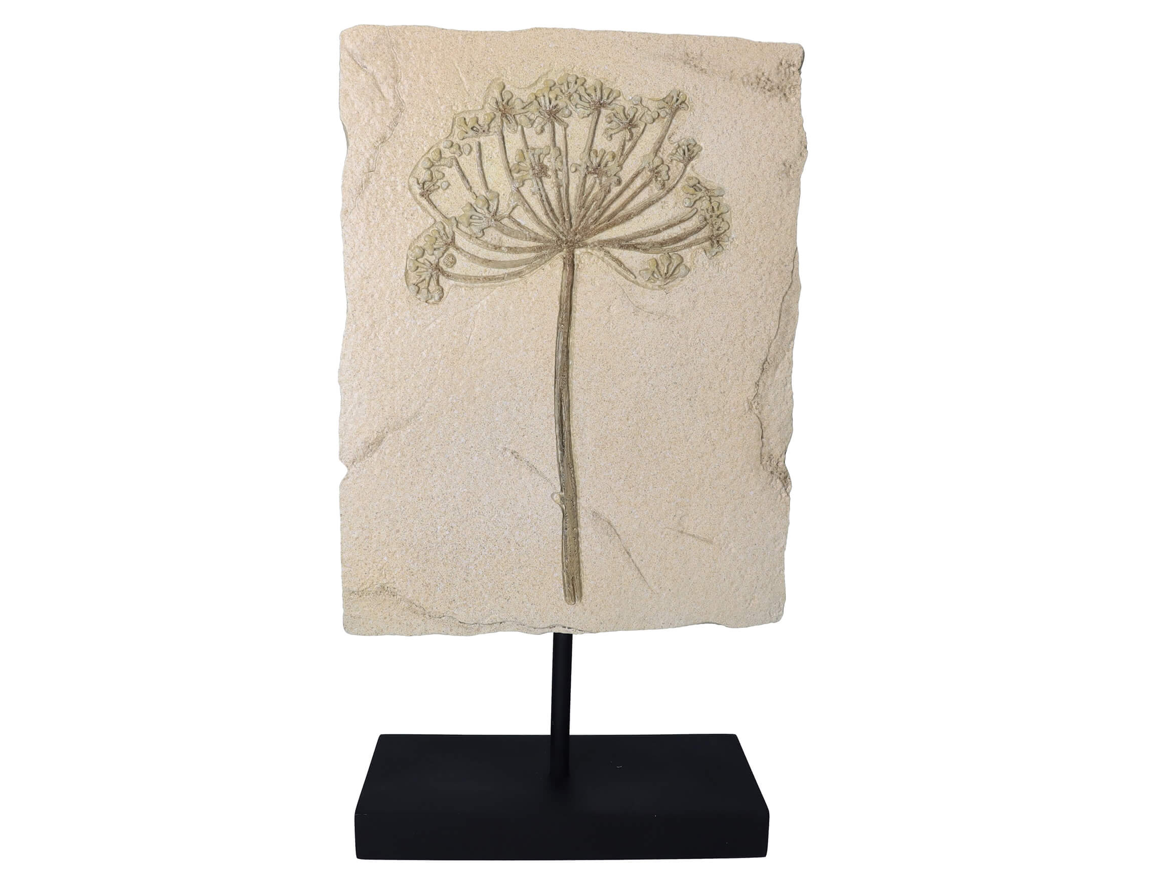 Kersten Skulptur Ornament Kerbel H: 47 cm  | Schubiger Möbel