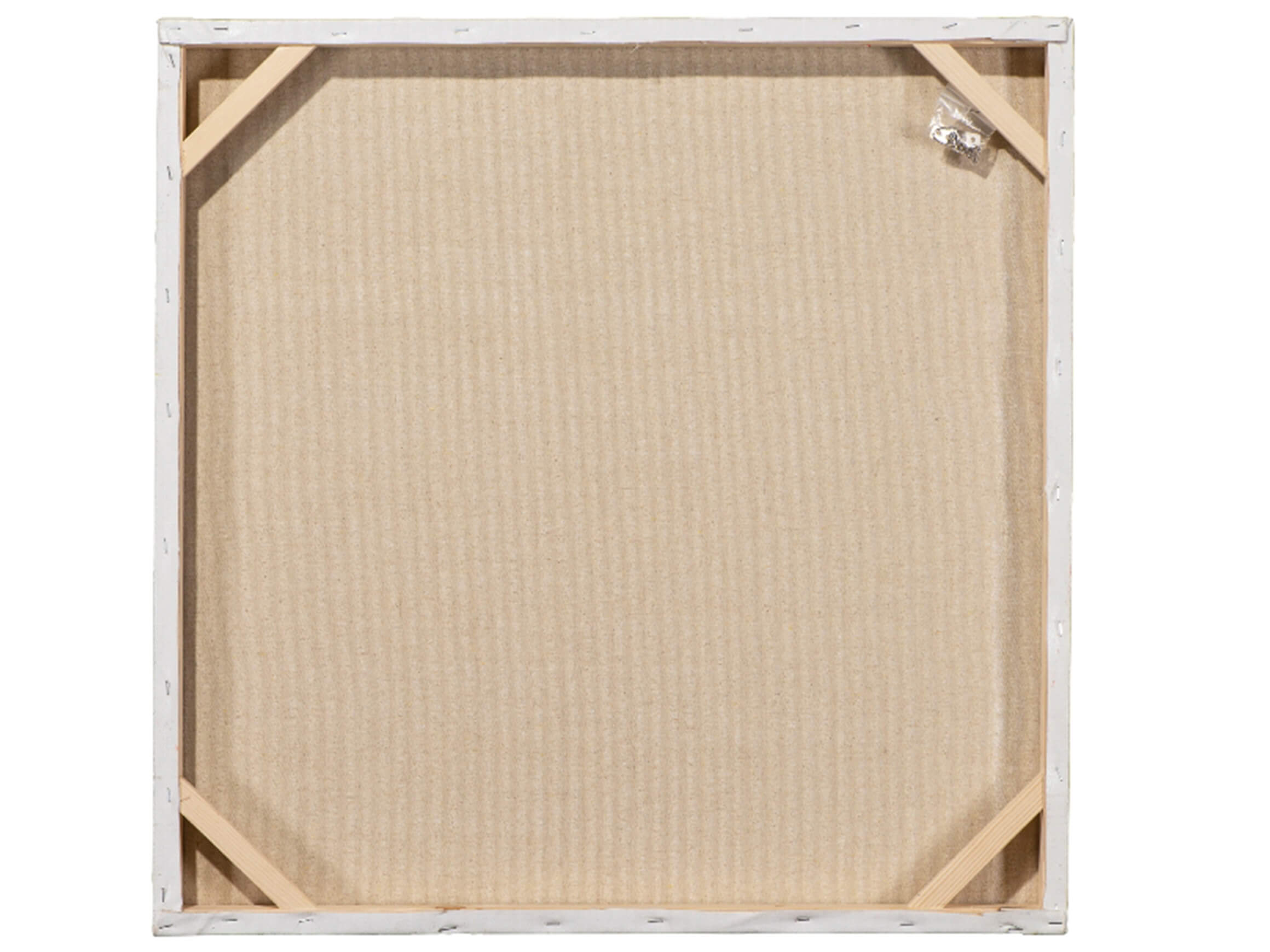 Bild Bunter Kuh Kopf image LAND