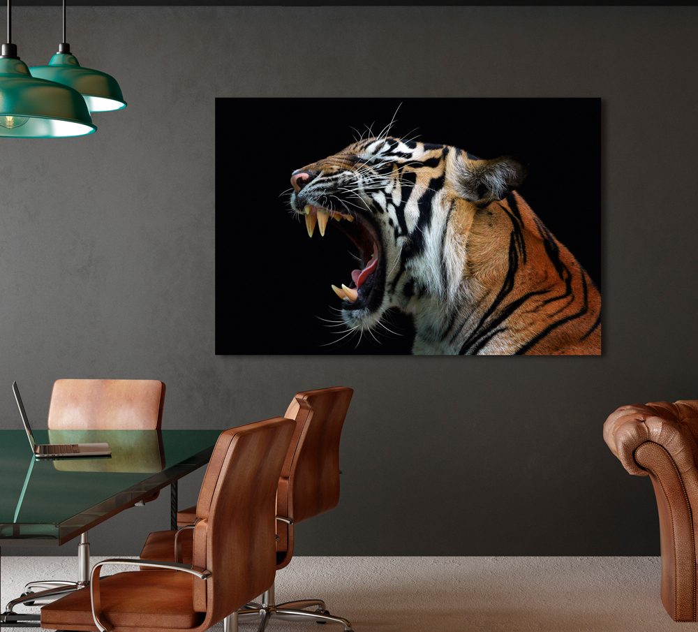 Alubild-Fauchender Tiger-image LAND