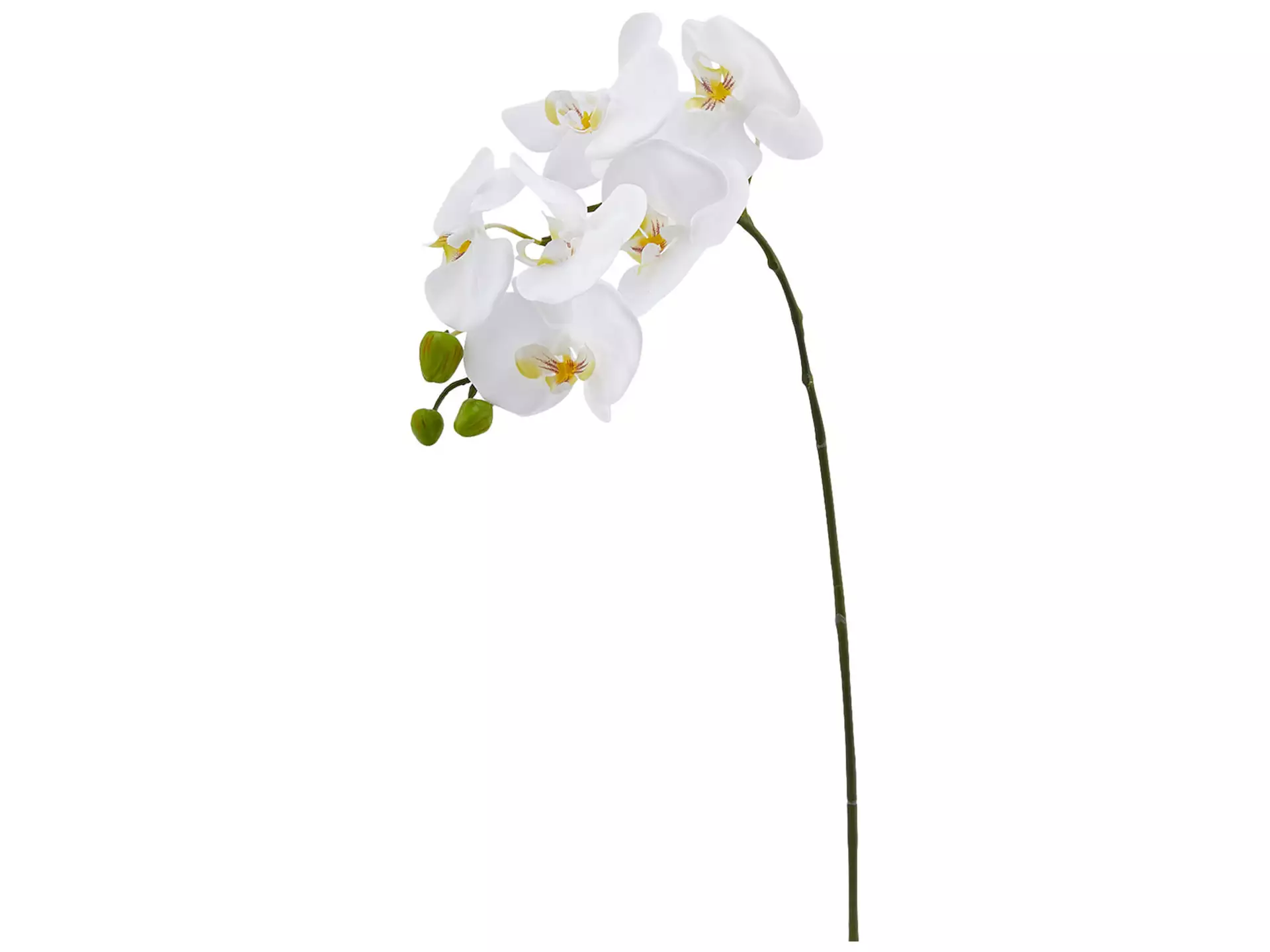 Kunstblume Phalaenopsis Weiss H: 74 cm Edg / Farbe: Weiss