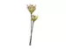 Kunstblume Protea Natur H: 73 cm Dijk