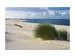 Digitaldruck auf Acrylglas Strand mit Dünengras image LAND / Grösse: 120 x 80 cm