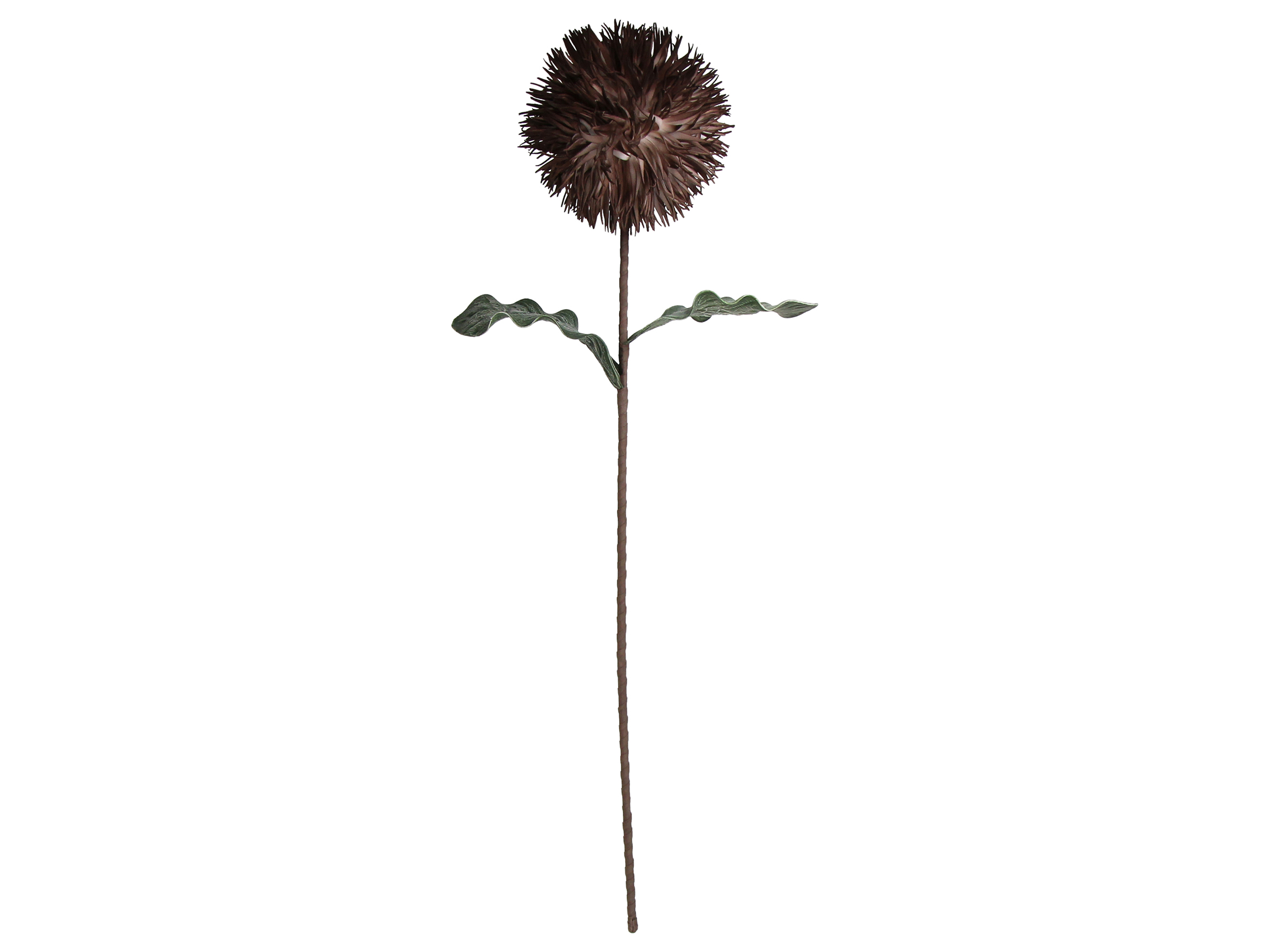 Kersten Kunstblumen Blüte Braun H: 76 cm  | Schubiger Möbel