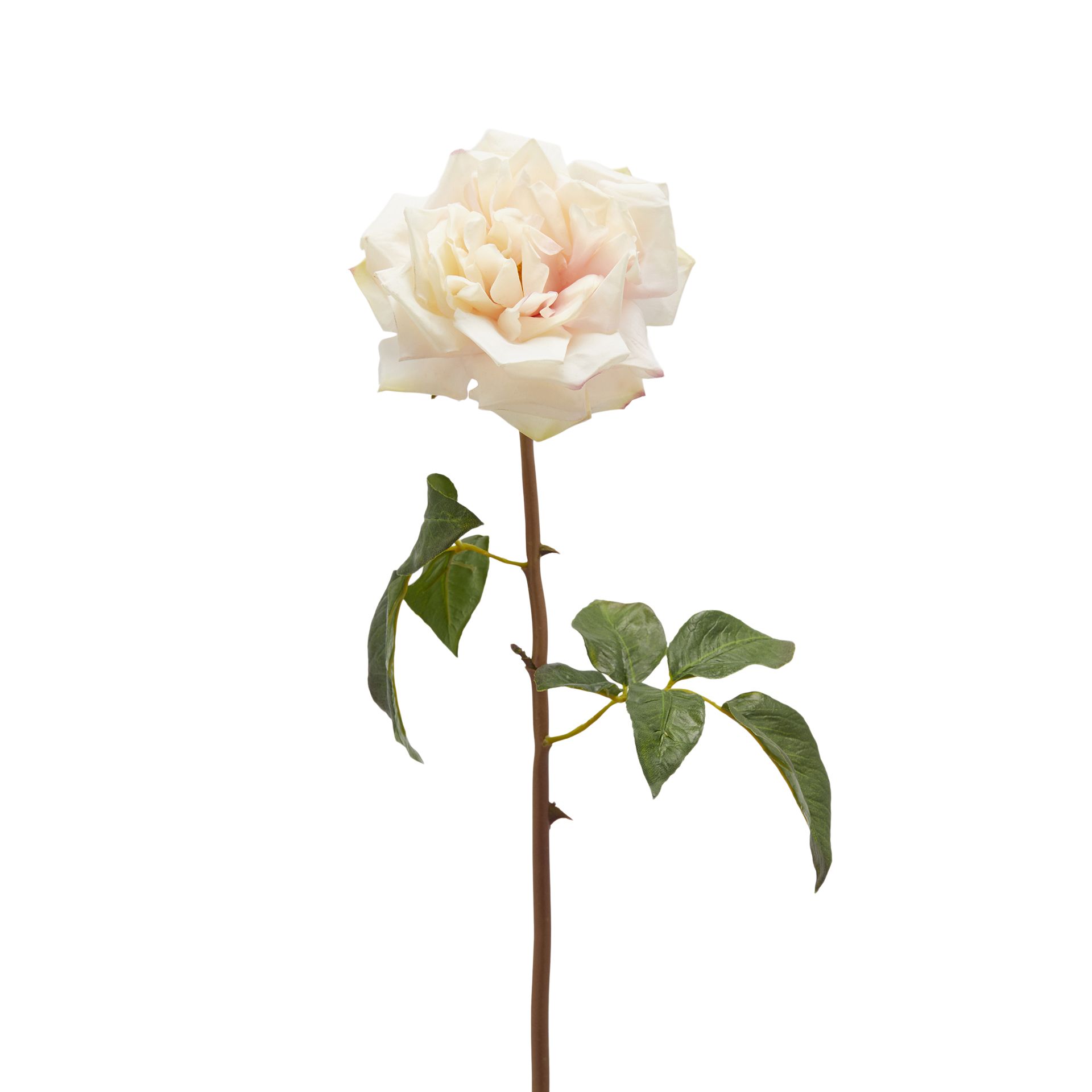 Kunstblume Rose Cremè H: 50 cm Edg