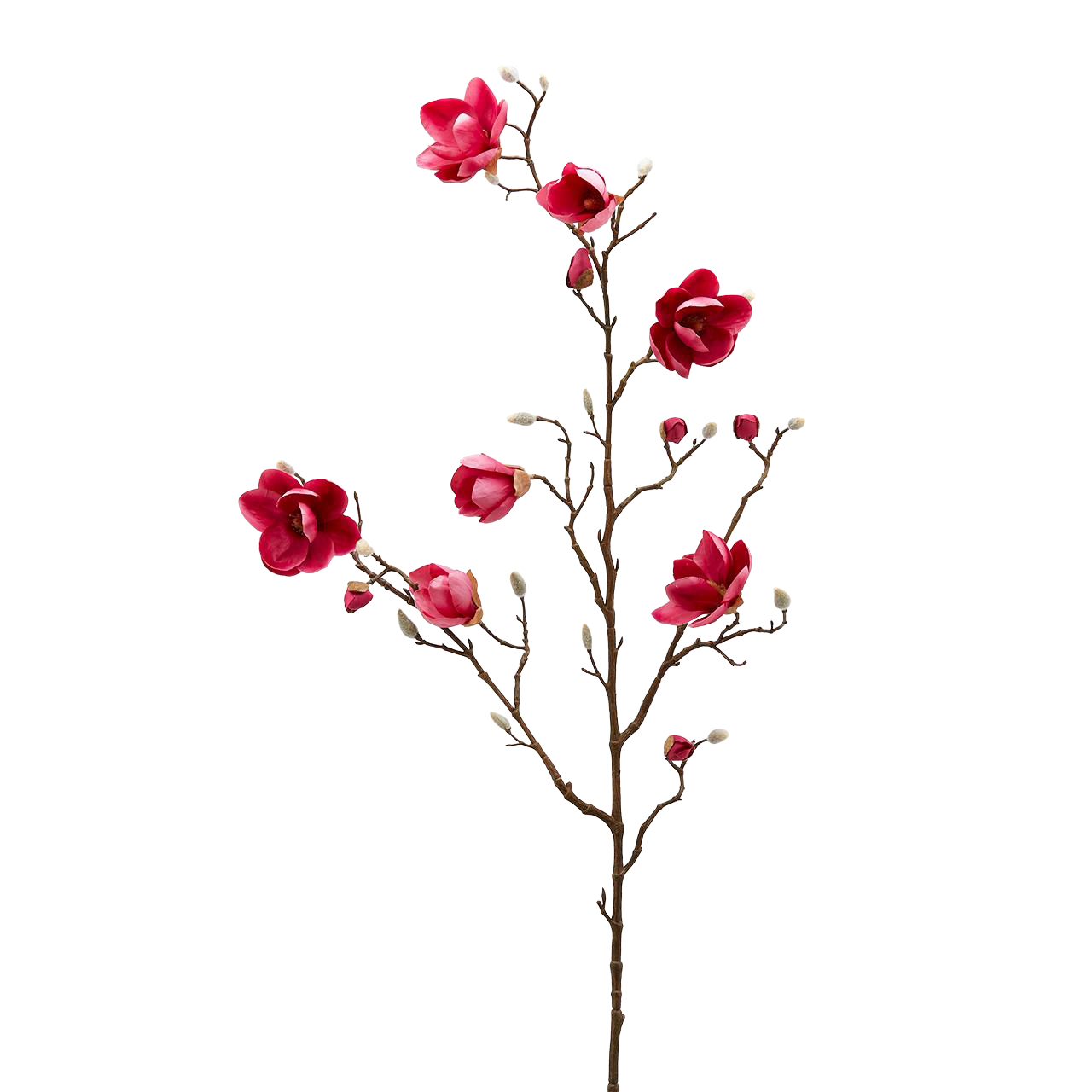 Edg Kunstblume Magnolia Fuchsia H: 120 cm Beige | Schubiger Möbel
