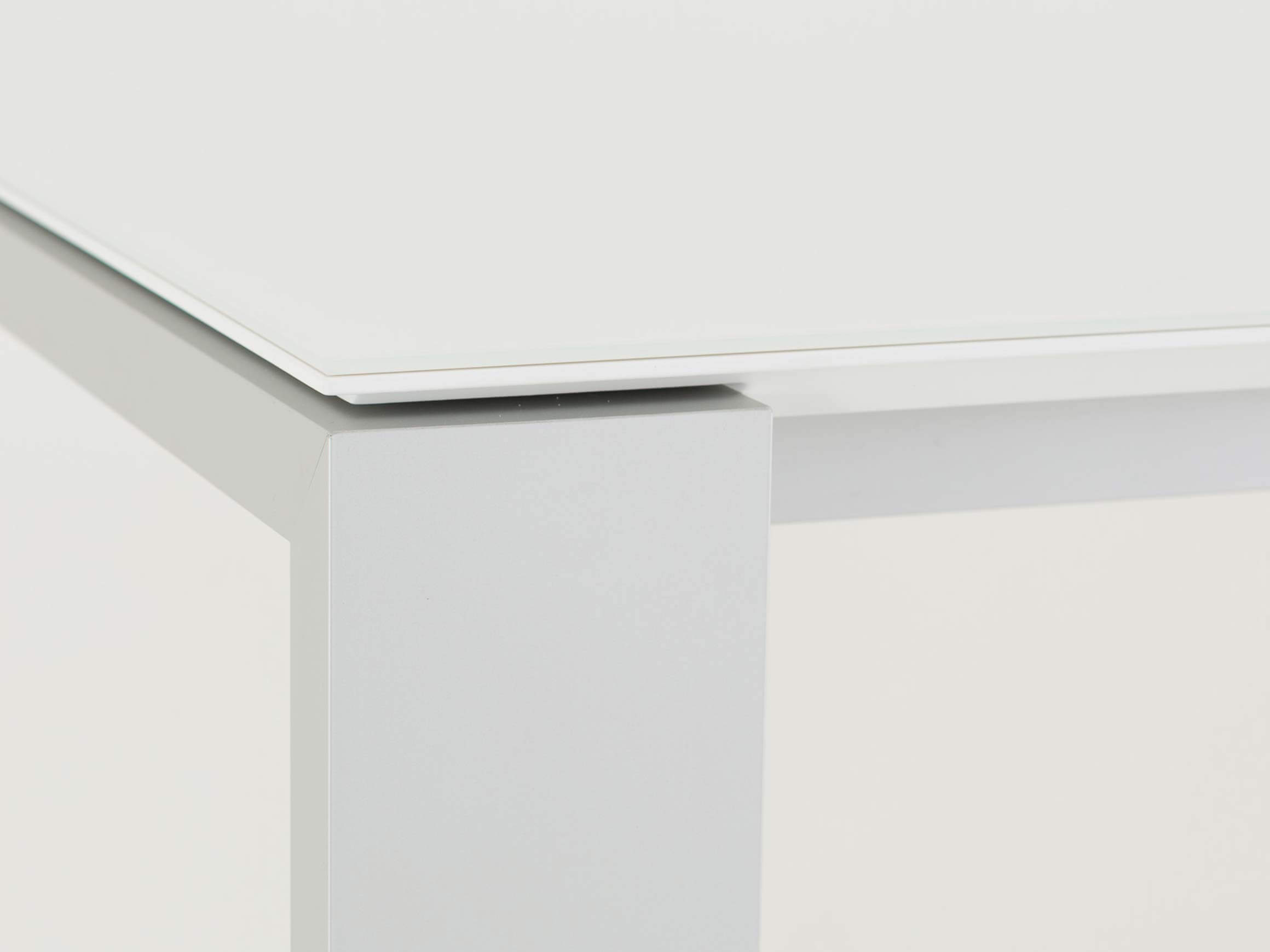 Esstisch Maleo Willisau / Tischblattmass (BxT) :220 x 95 cm / Tischblatt-Material: Glas