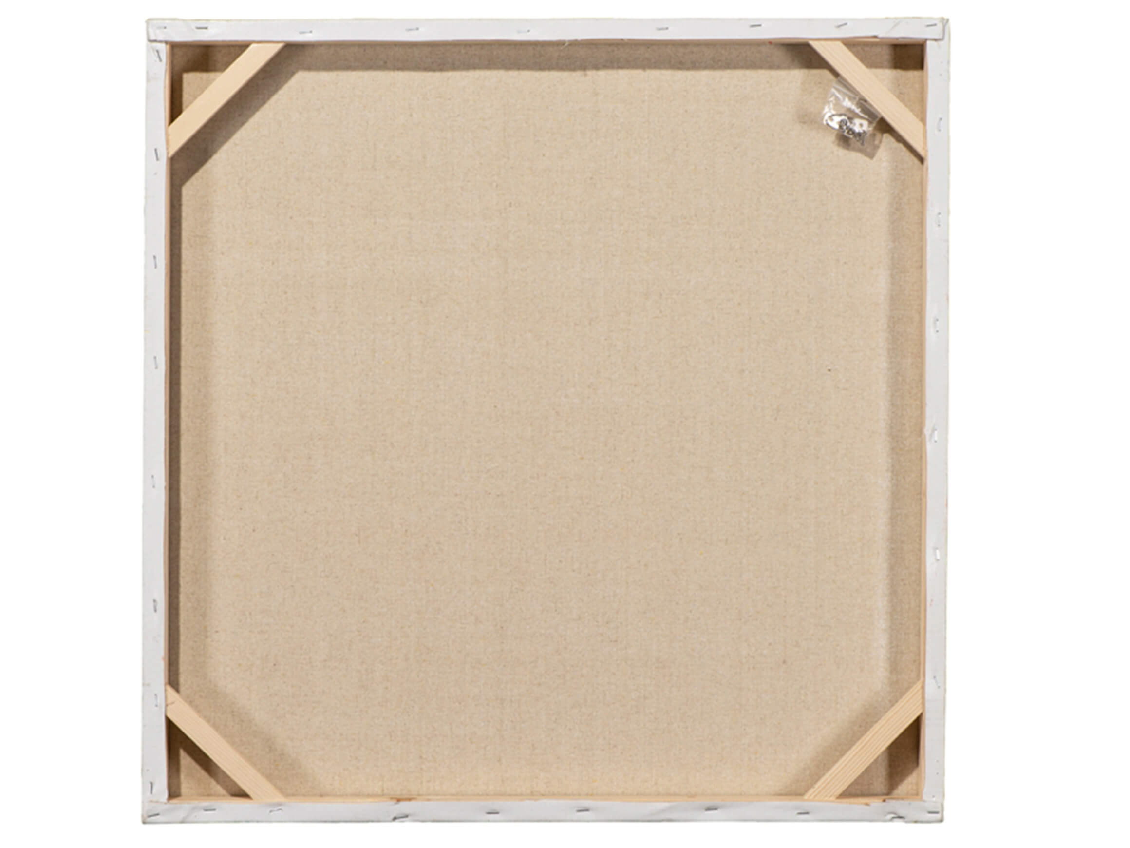 Bild 2 Schweinchen in Der Wanne image LAND