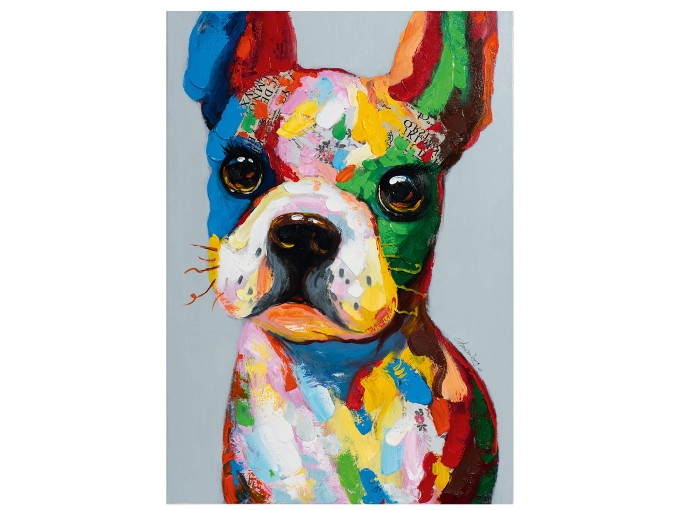 Bild Lustiger Bunter Hund image LAND