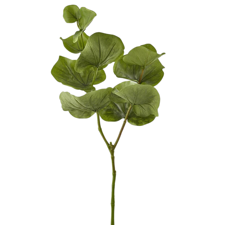 Edg Kunstblume Begonienblatt H: 80 cm  | Schubiger Möbel