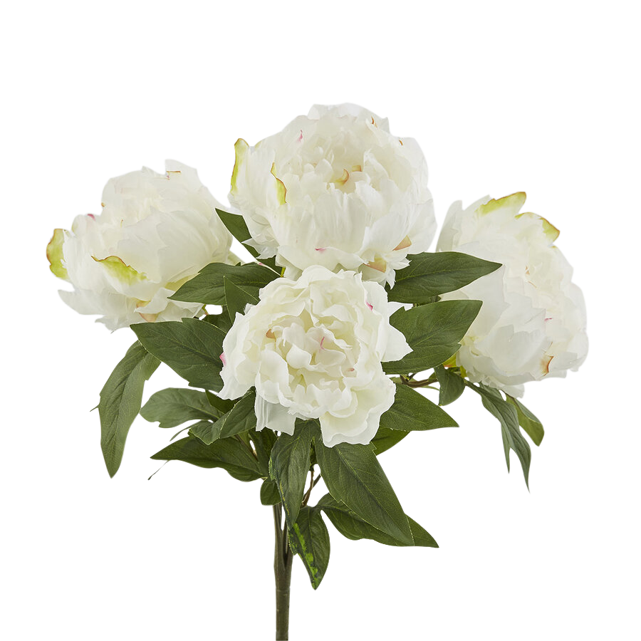 Edg Kunstblume Pfingsrosen Strauss H: 48 cm  | Schubiger Möbel