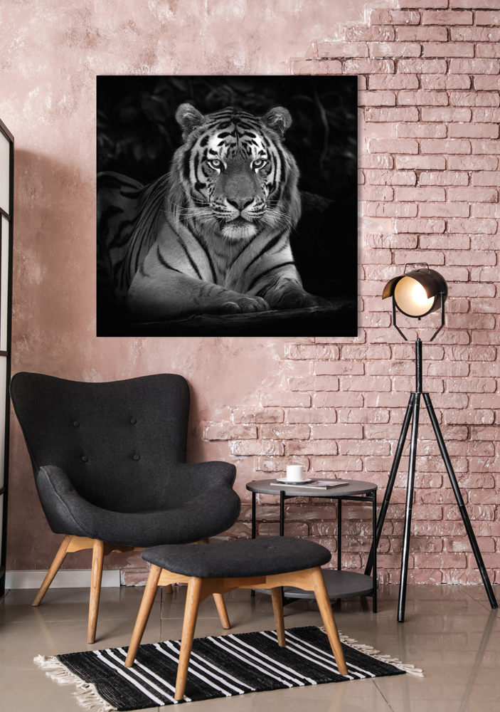 Acrylglasbild-Imposanter Tiger-image LAND