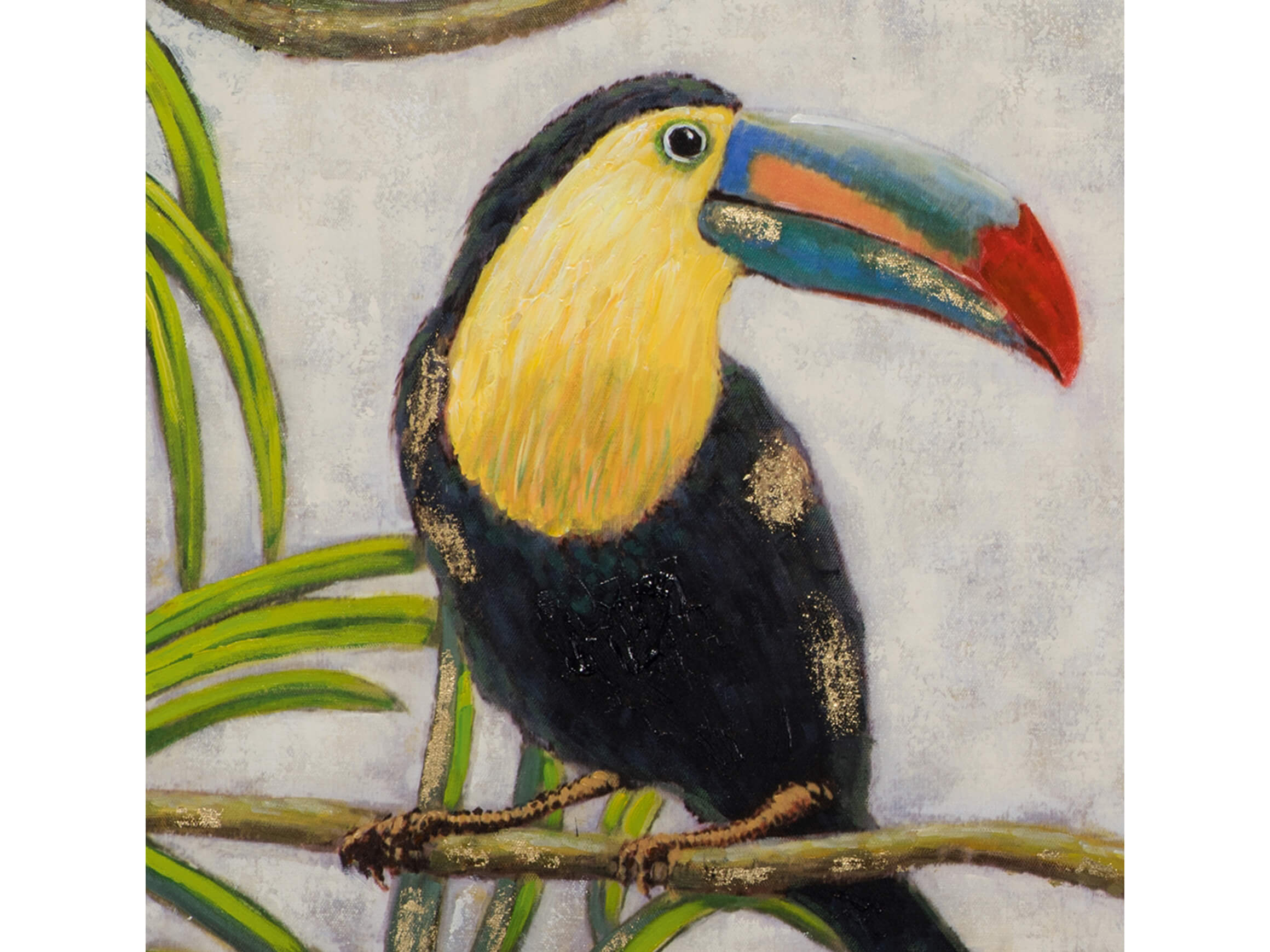 Bild Farbenfrohe Tukane image LAND