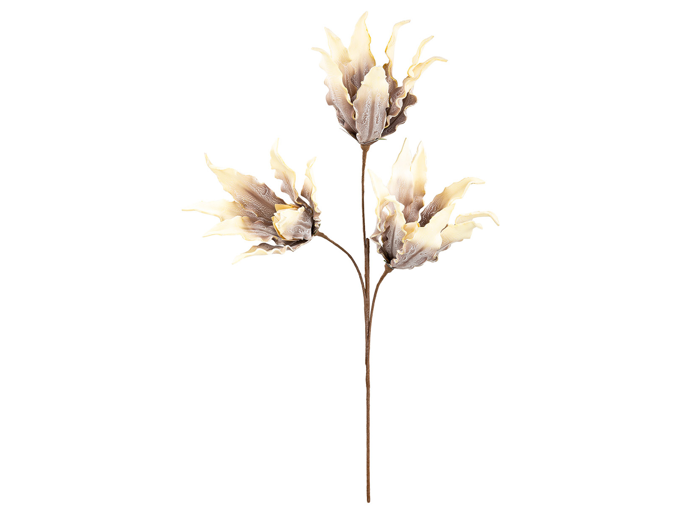 Gilde Kunstblumen Blüte, Braun-Creme H: 93 cm  | Schubiger Möbel