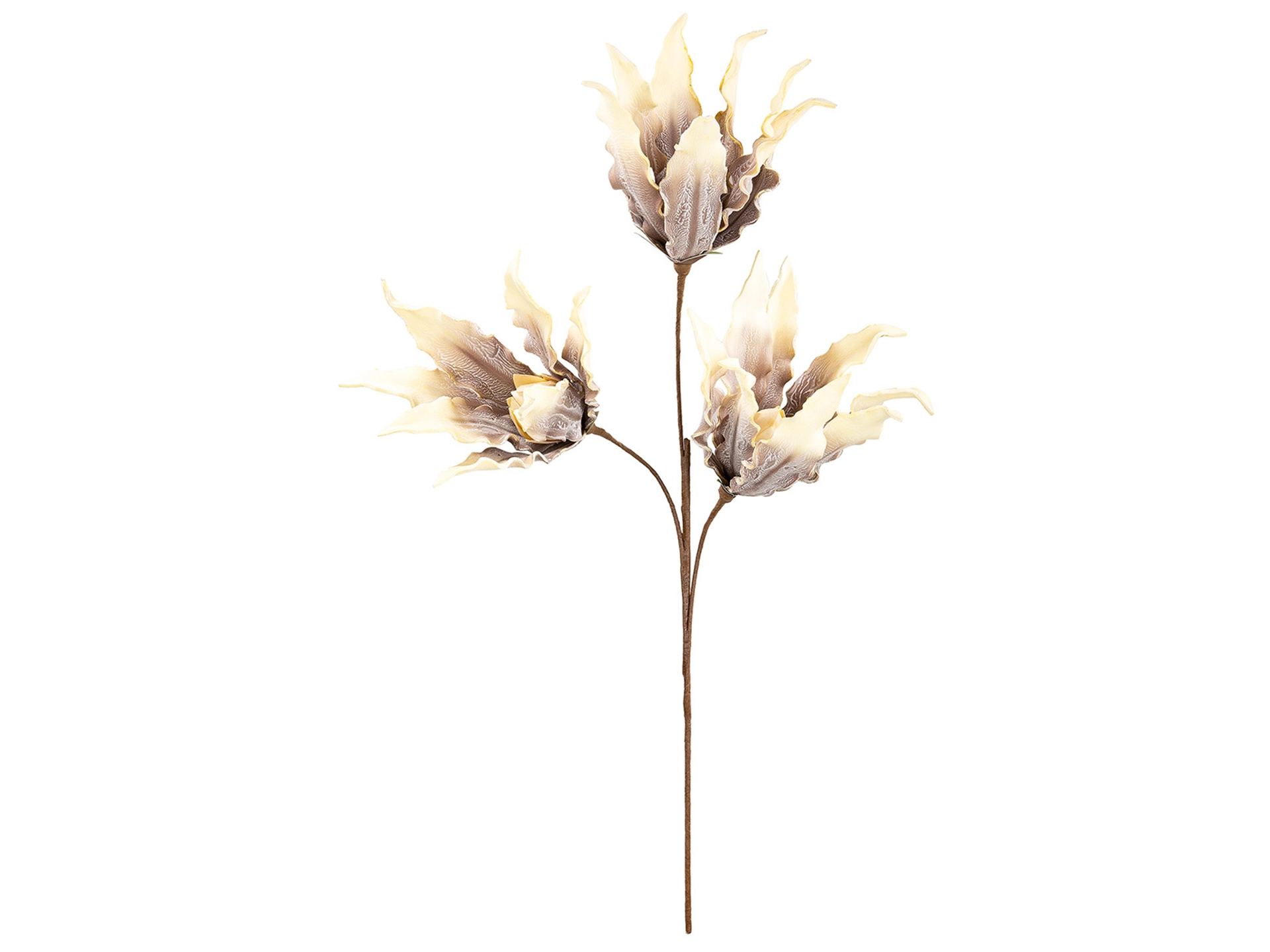 Kunstblumen Blüte, Braun-Creme H: 93 cm Gilde