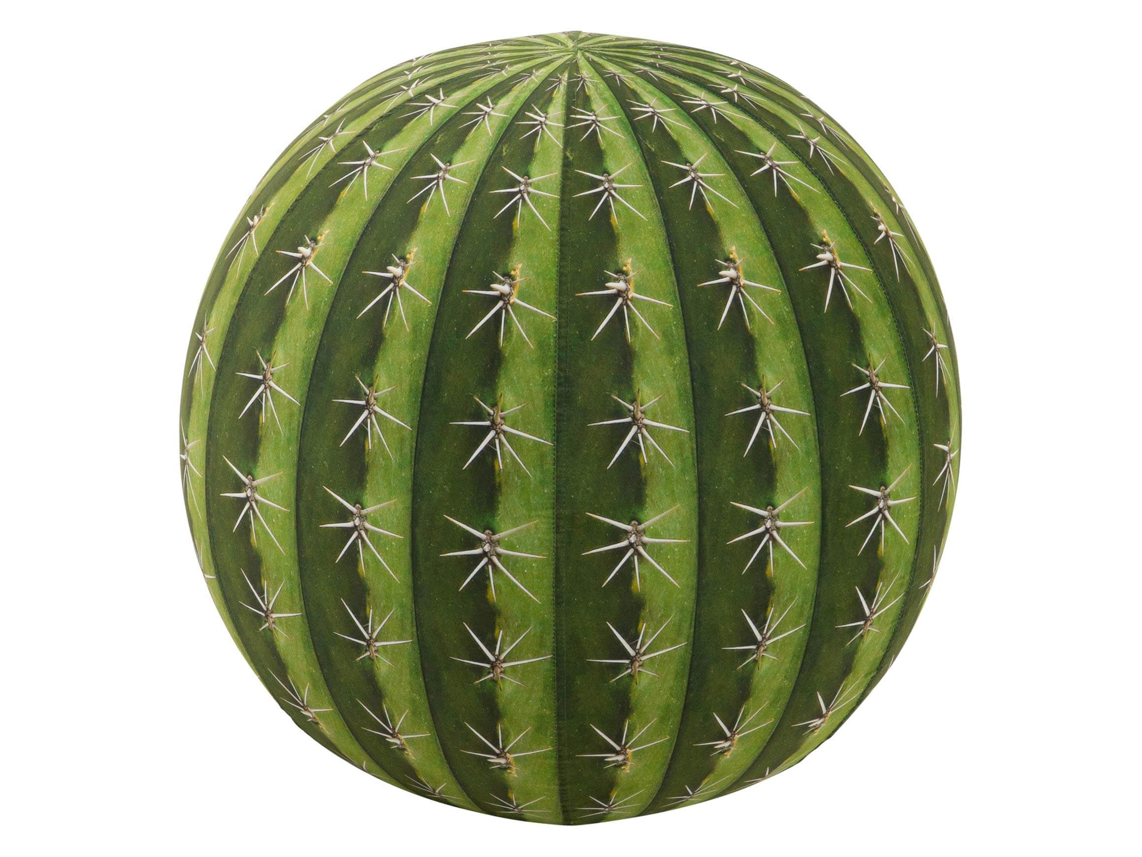 Pouf Cactus Vert de Magma