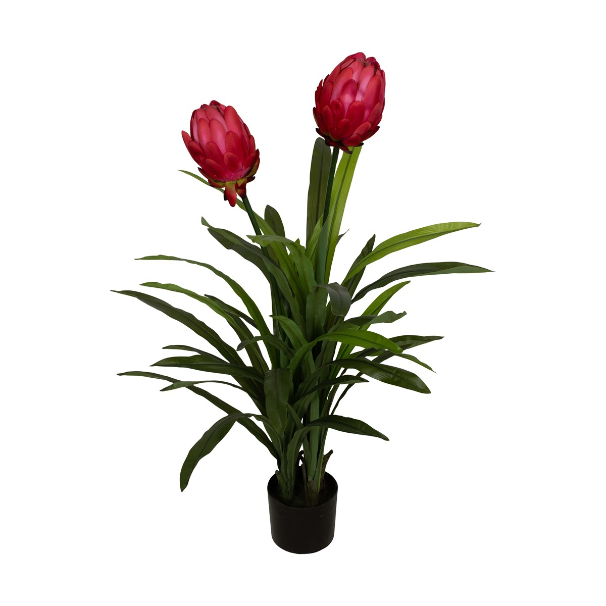 Kunstpflanze Protea Pink H: 116 cm Decofinder