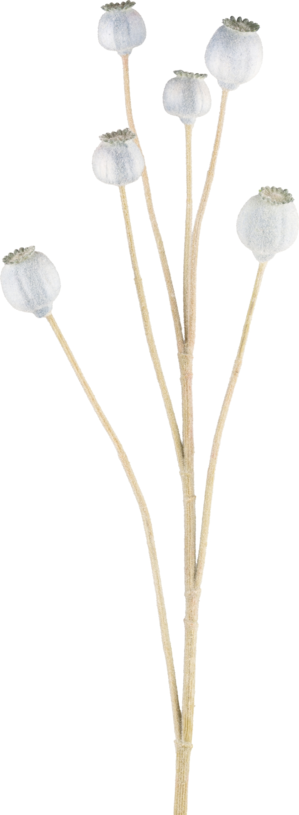 Kunstblumen Mohn, Wolkenblau H: 79 cm Gasper