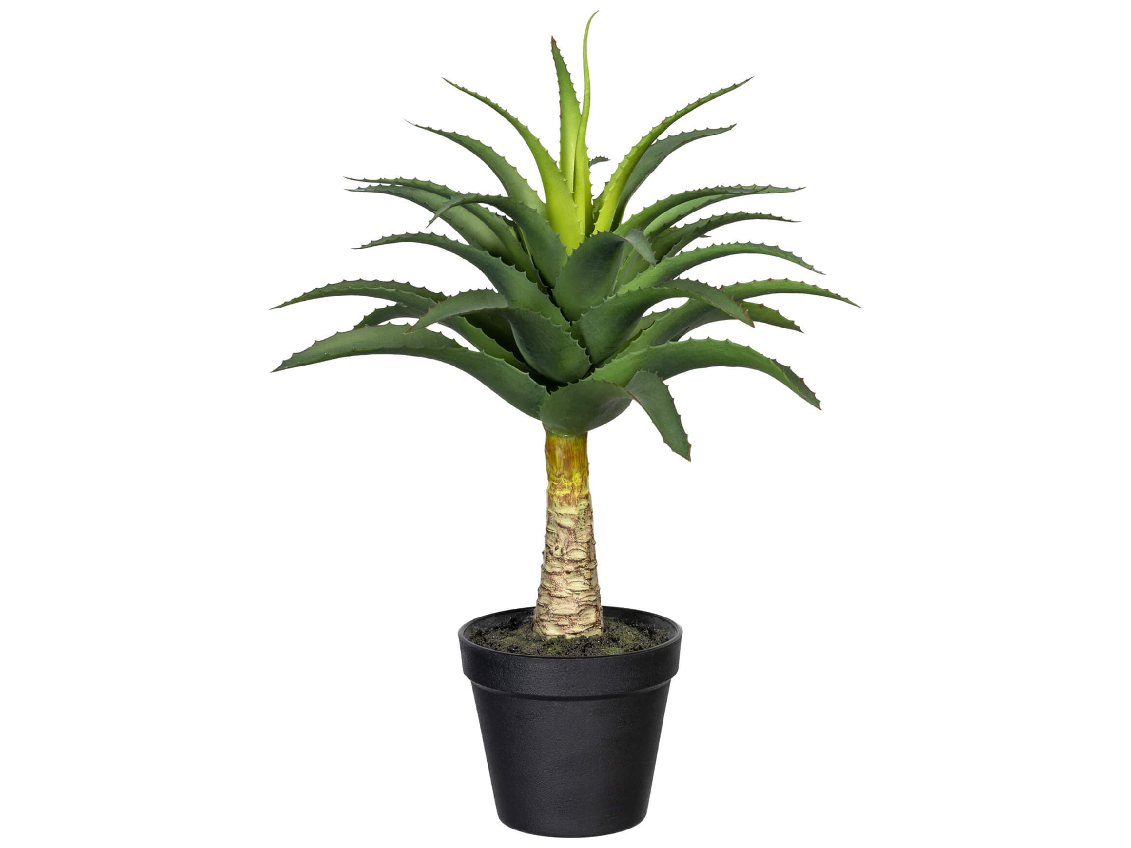 Kunstpflanze Aloe mit Stamm H: 45 cm Gasper