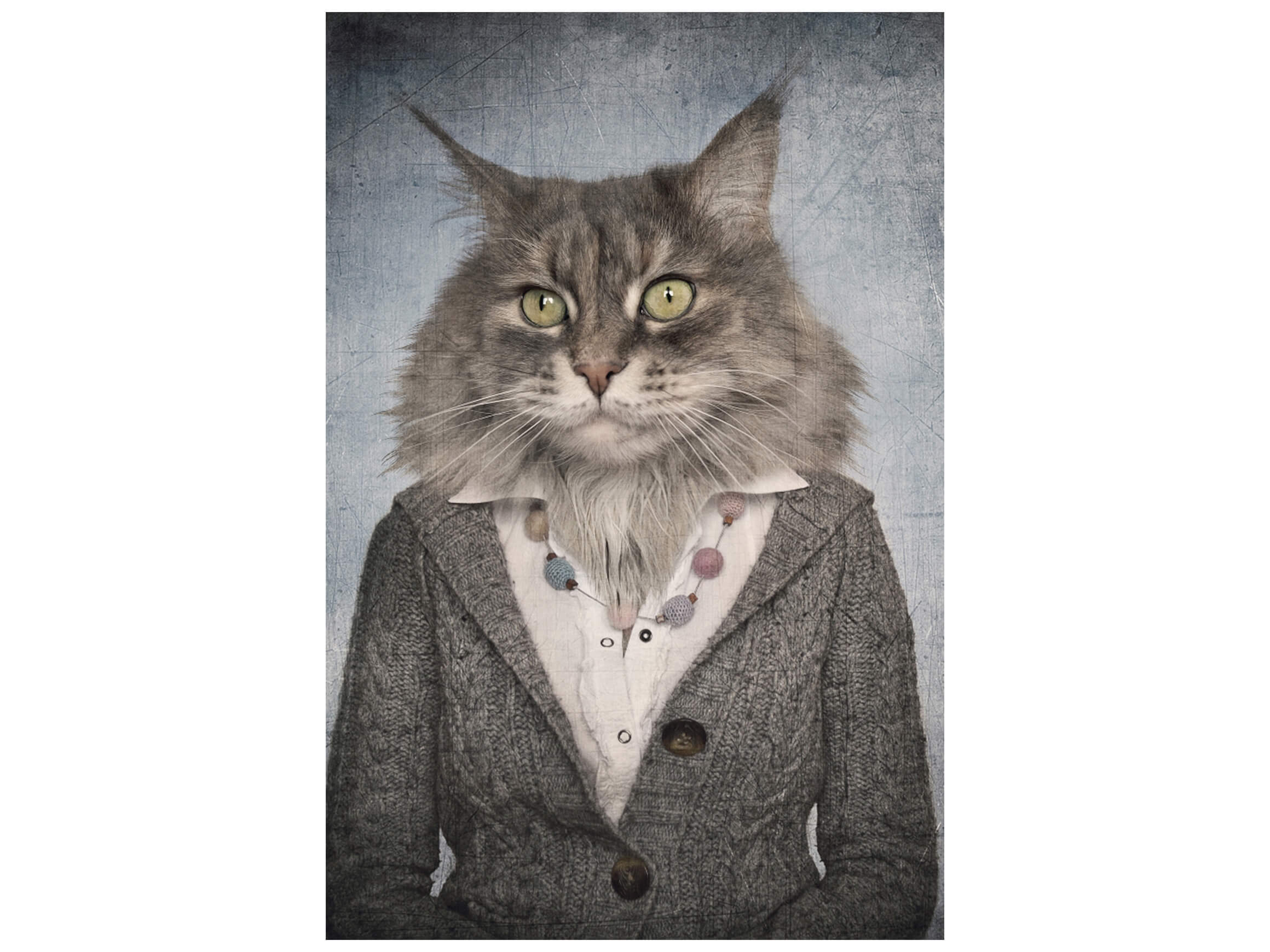 Digitaldruck auf Glas Katzenfrau image LAND