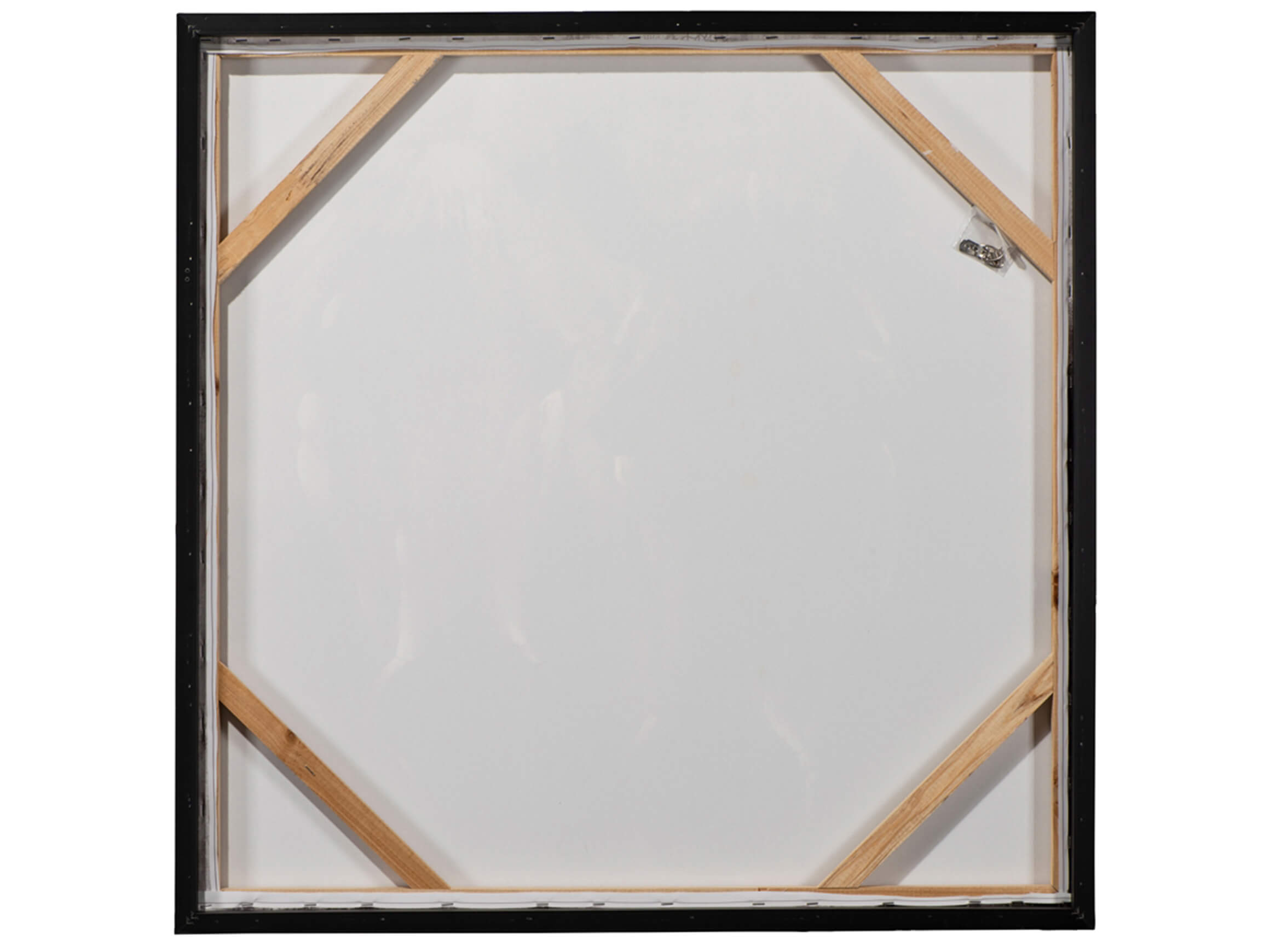 Bild mit Rahmen New Yorker Hunde-Mafioso image LAND