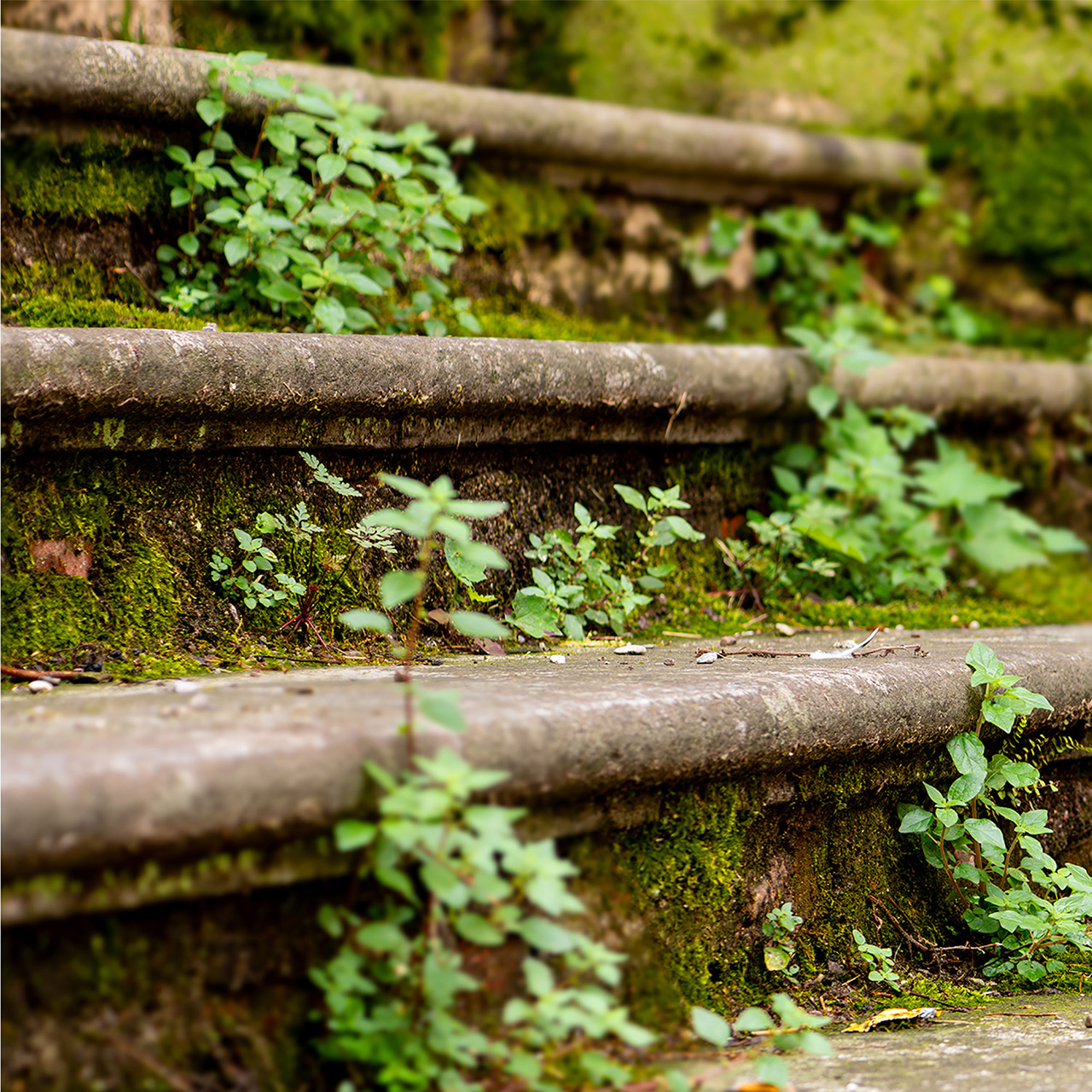 Canvas-Upstairs-image LAND