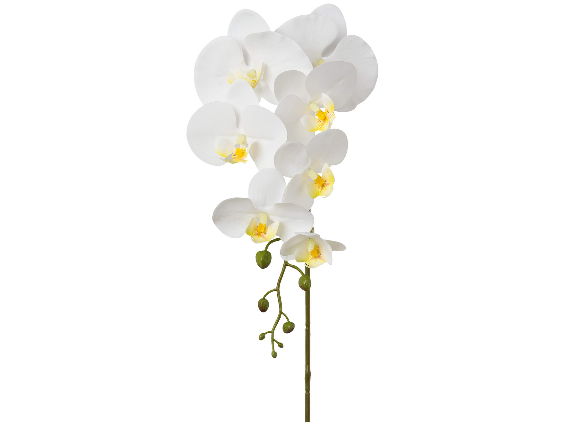 Gasper Kunstblume Orchideenzweig  | Schubiger Möbel