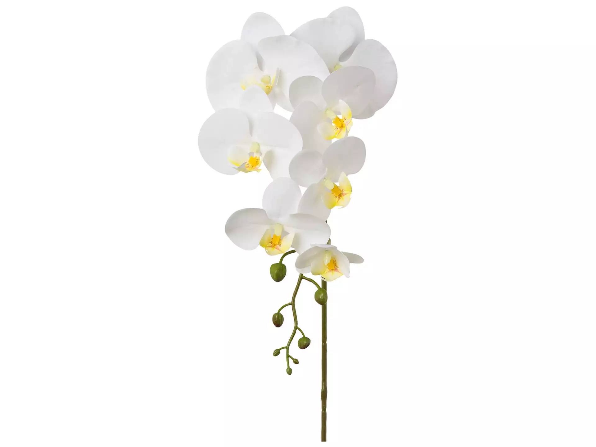 Kunstblume Phalaenopsis Orchidee Weiss H: 86 cm Gasper