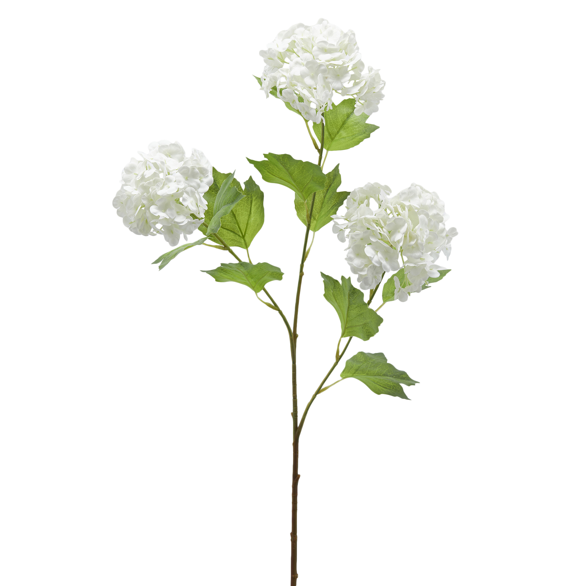 Edg Kunstblume Schneeball Weiss H: 70 cm Weiss | Schubiger Möbel