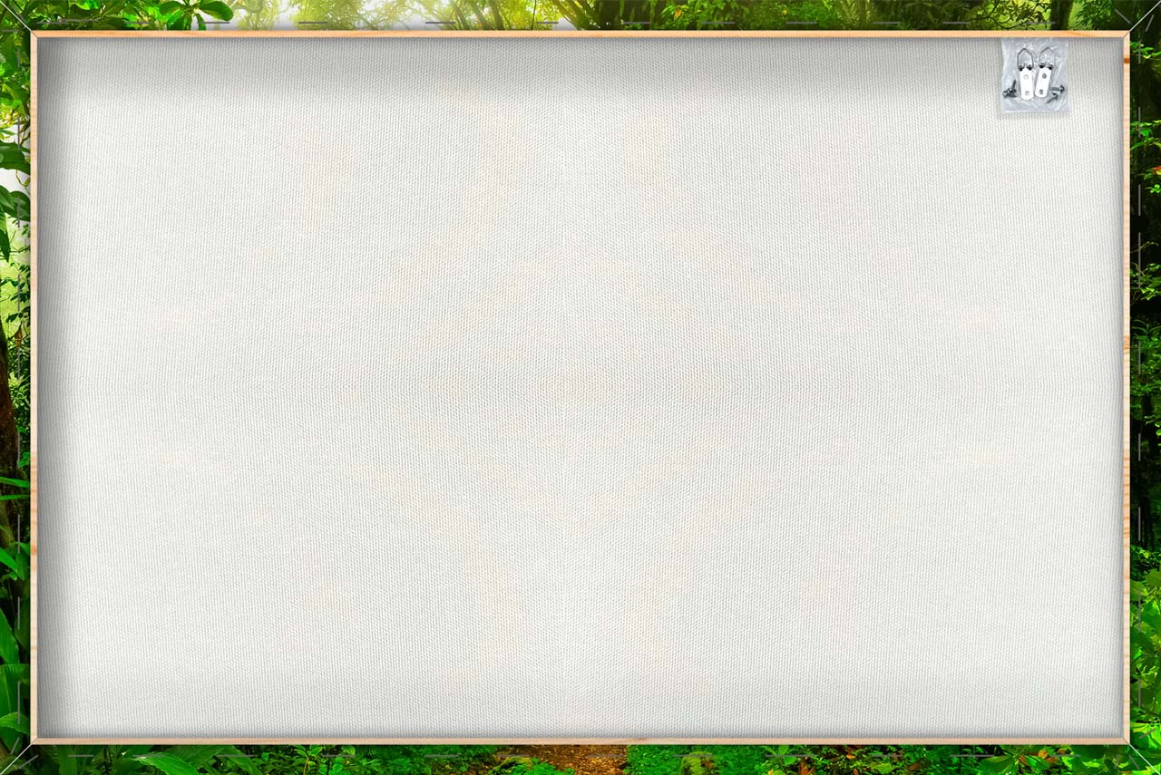 Canvas-Woodland-image LAND