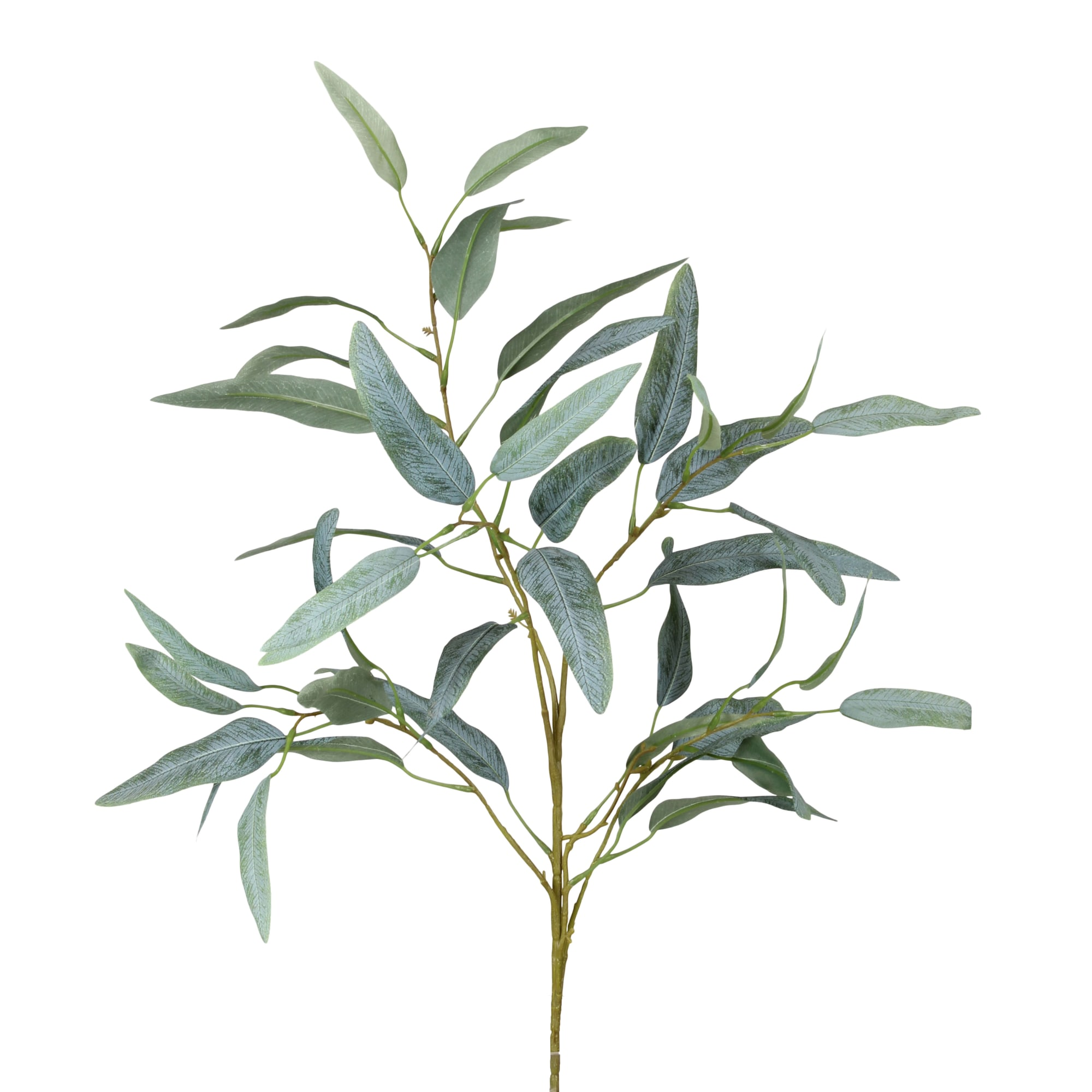 Decofinder Kunstblume Eukalyptus Grün H: 95 cm Grün | Schubiger Möbel