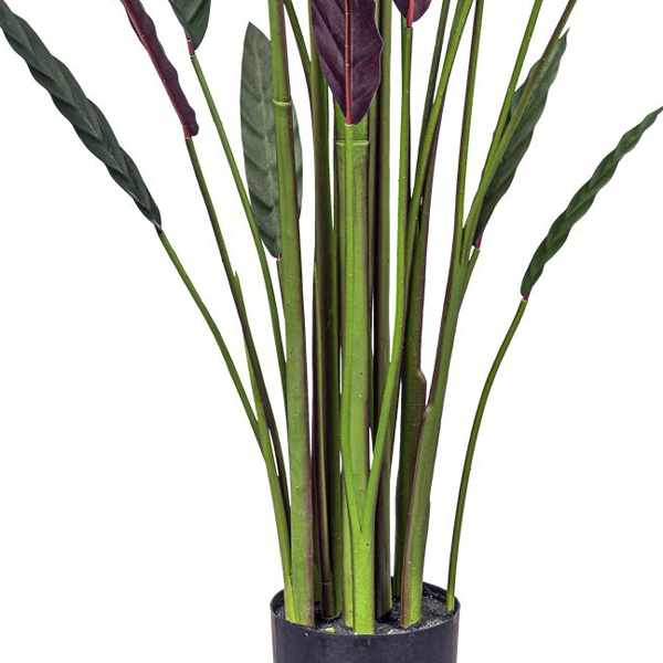 Kunstpflanzen Stromanthe Thalia im Kunststofftopf H: 210 cm Gasper